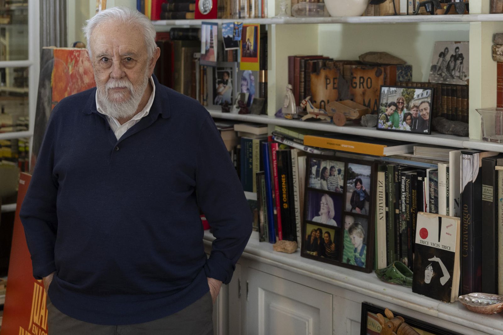 Gonzalo Suárez, Goya de honor 2026