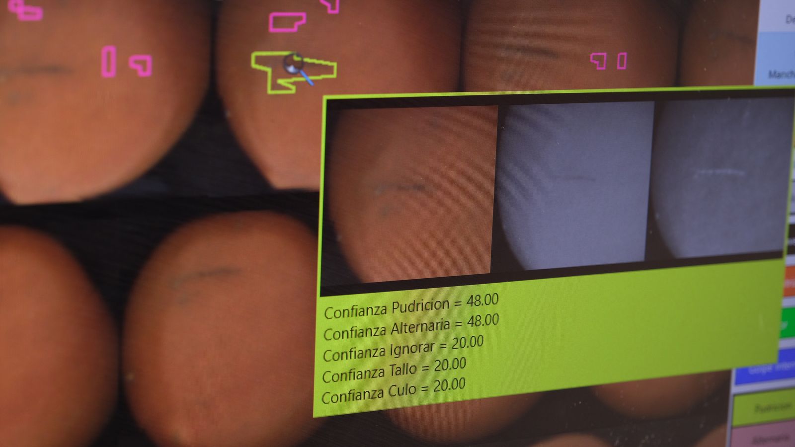 Nivel de precisión con el que se analizan los desperfectos del tomate gracias a la IA.