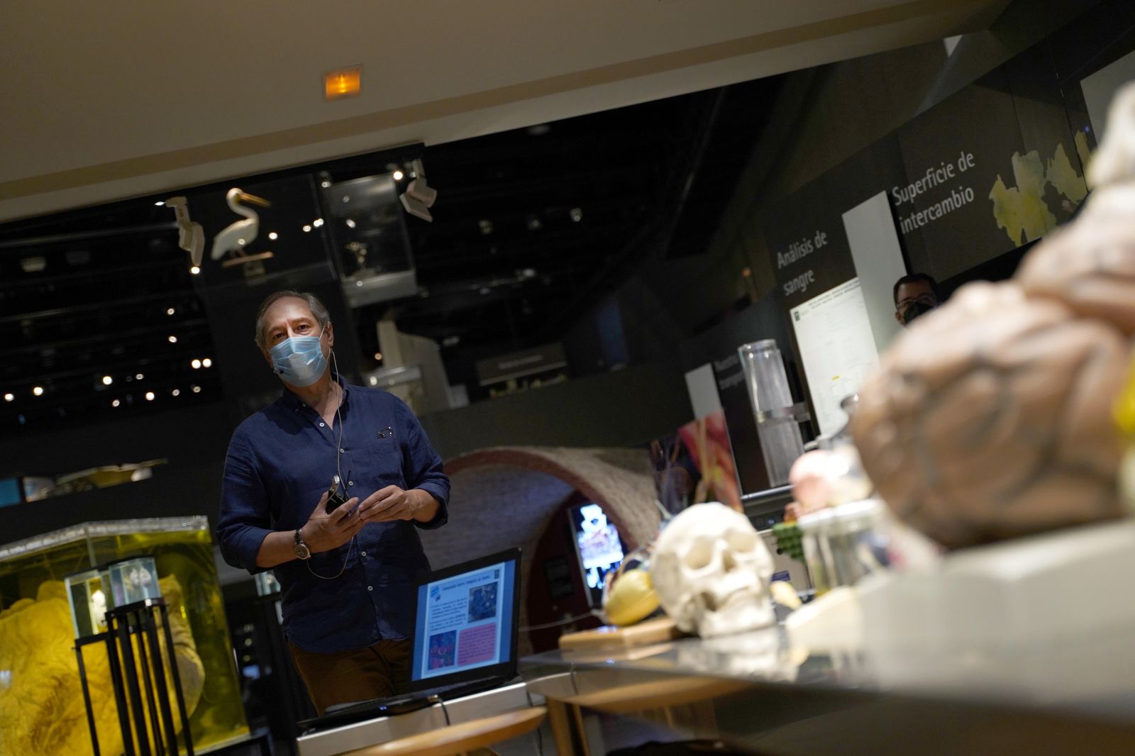 Investigadores de la UGR realizan unos dibujos animados para explicar el viaje del hierro en nuestro organismo