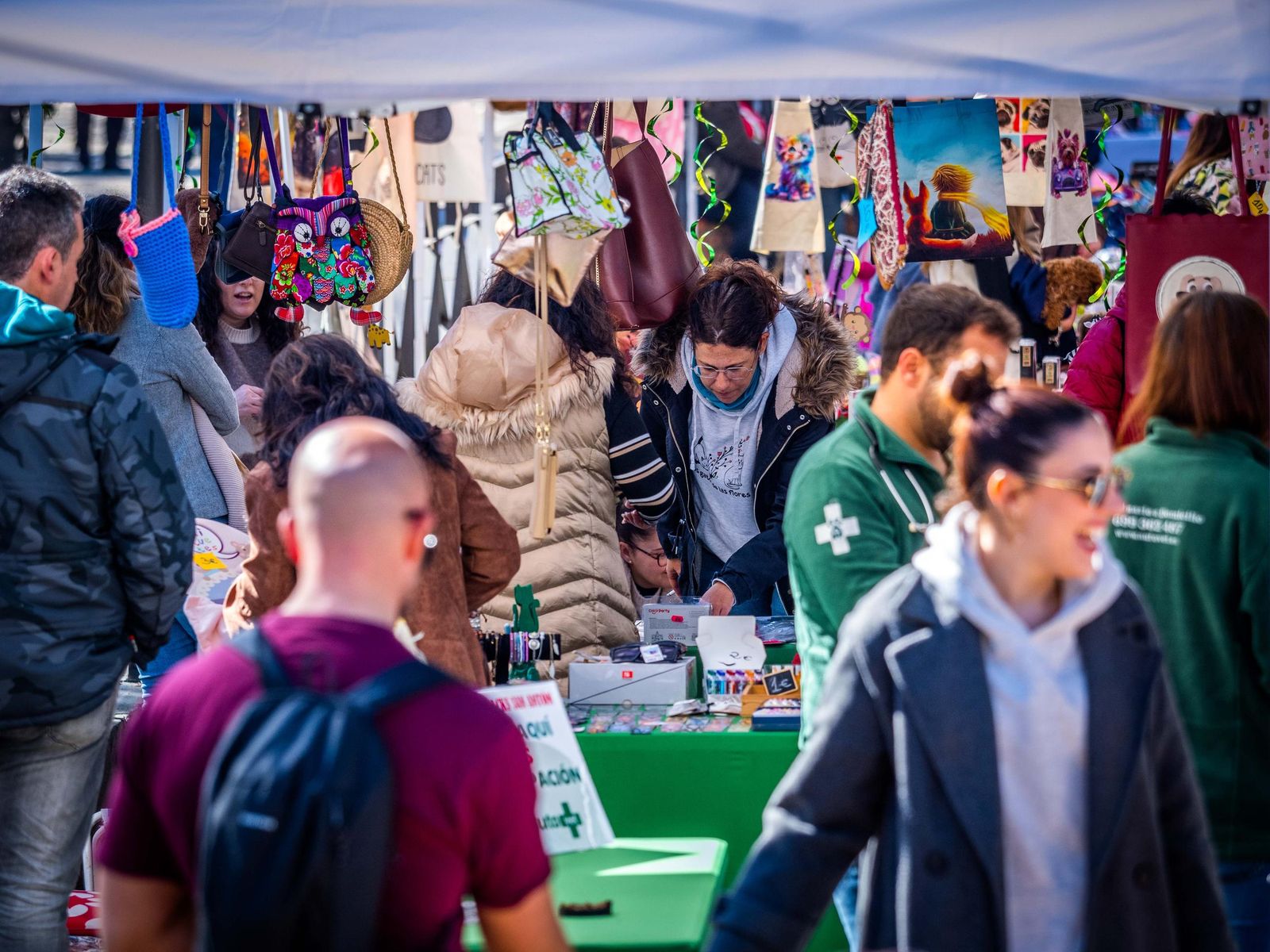 Las imágenes de San Antón 2025 en San Fernando