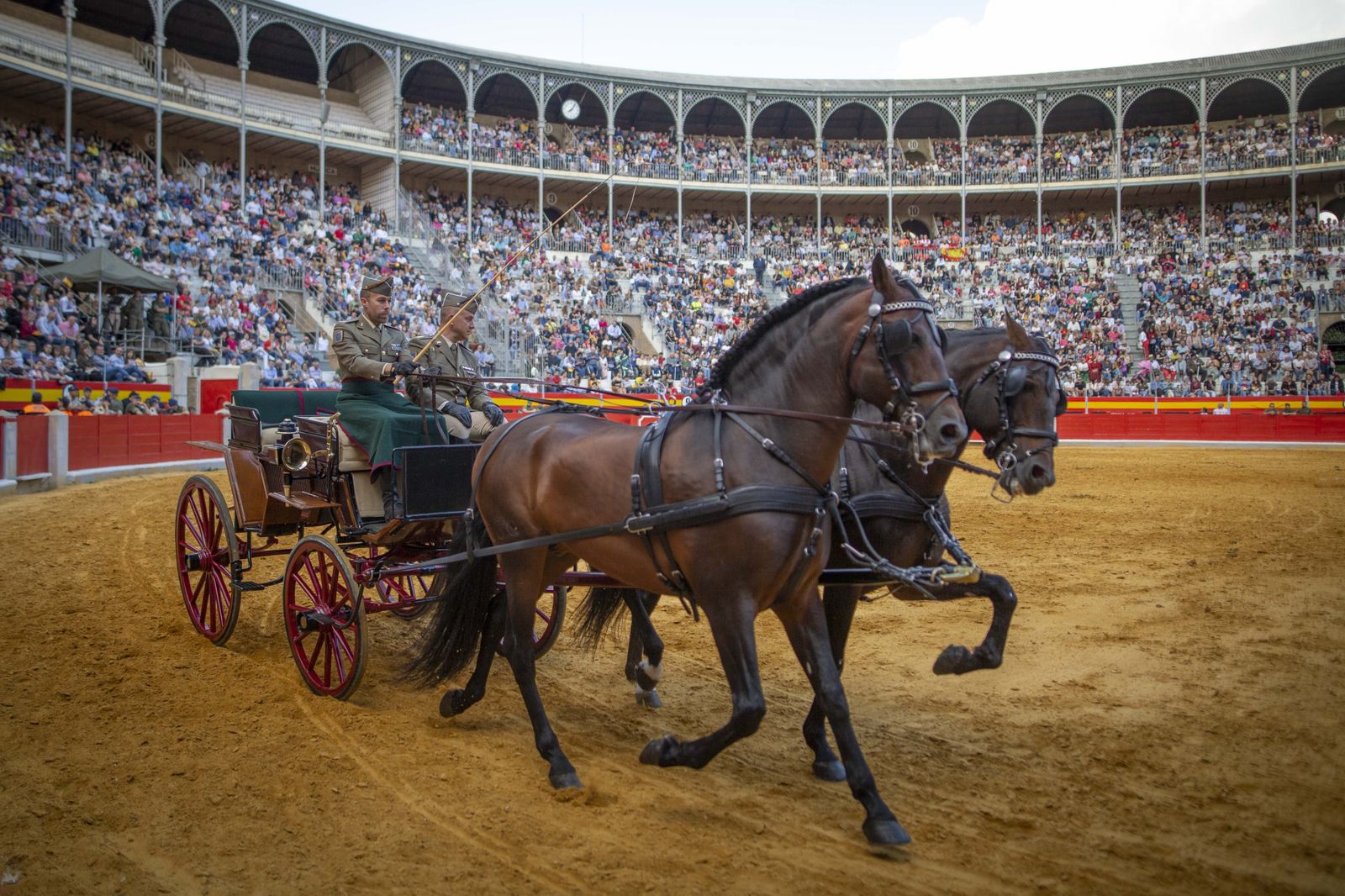 La exhibición del Ejército en la Plaza de Toros de Granada, en imágenes