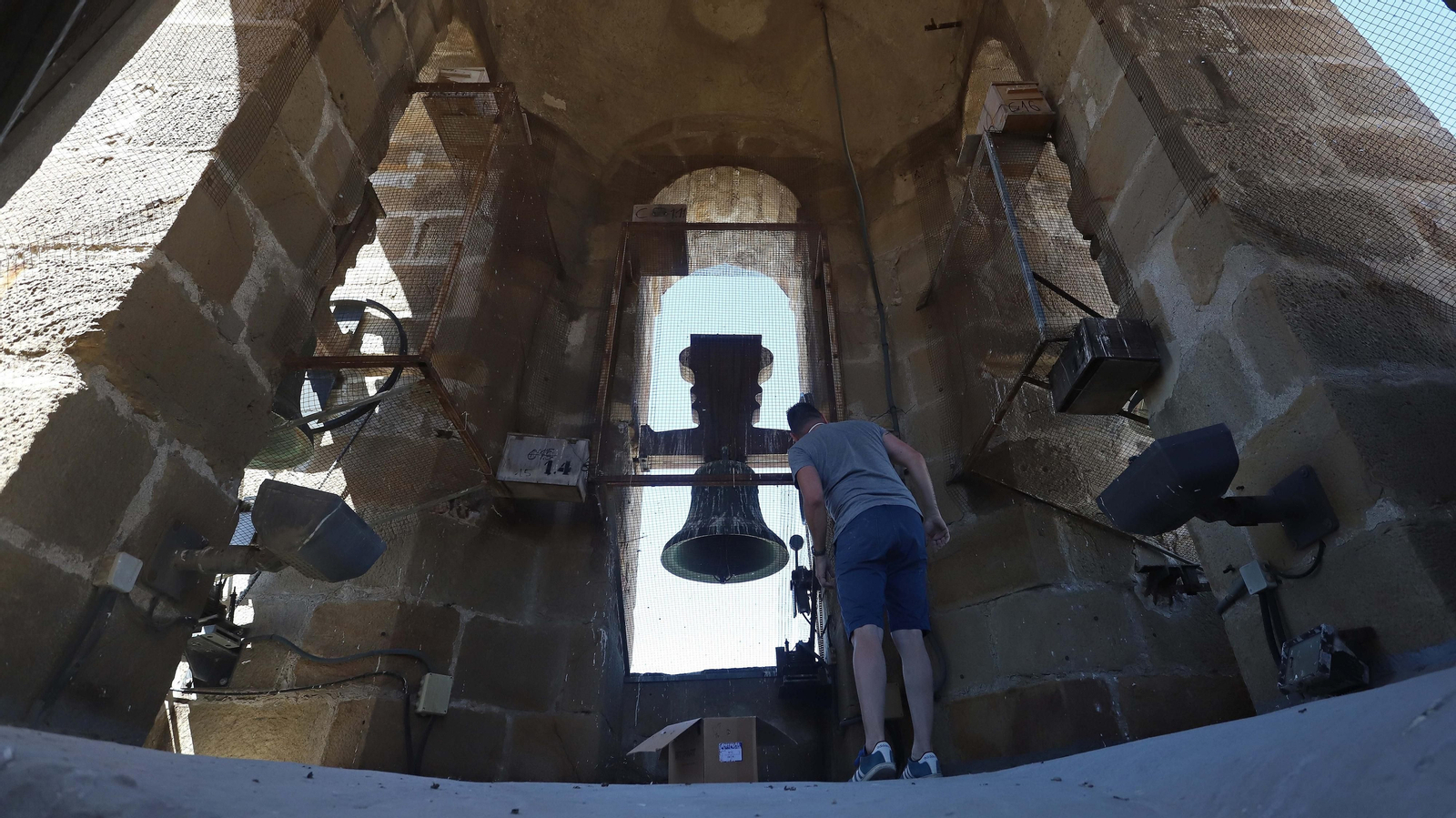 Anillamiento de cernícalos primilla del grupo Tumbabuey en Los Barrios