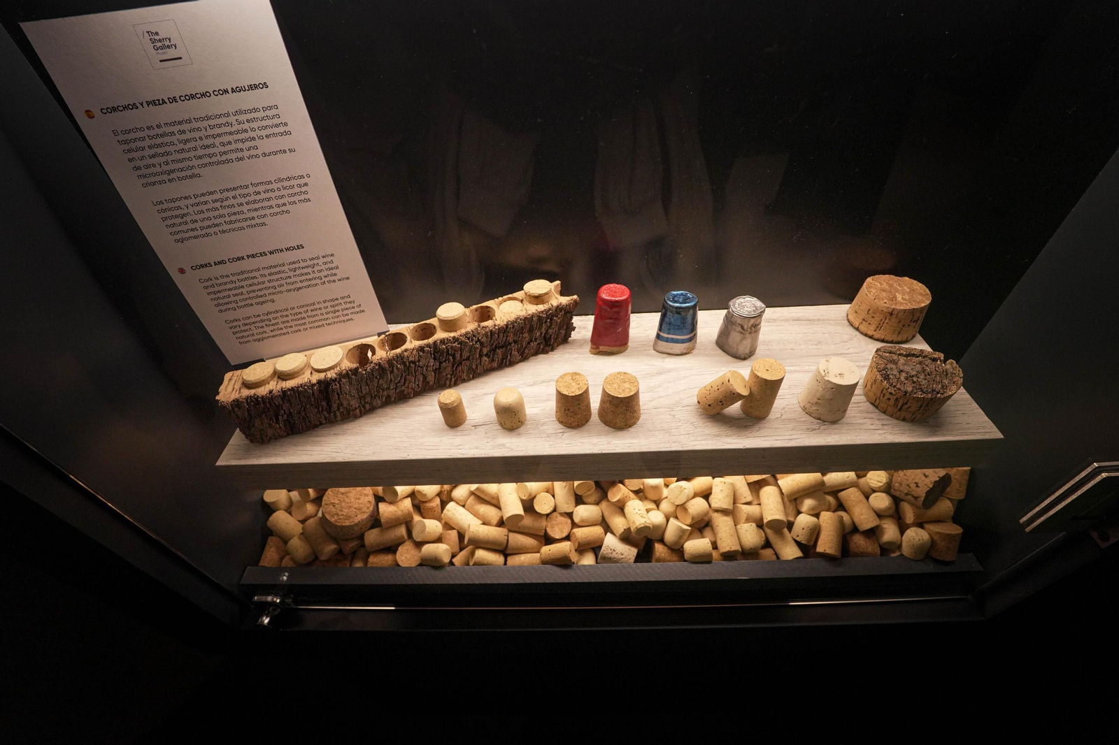 Así es el nuevo Palacio San Dionisio de Jerez