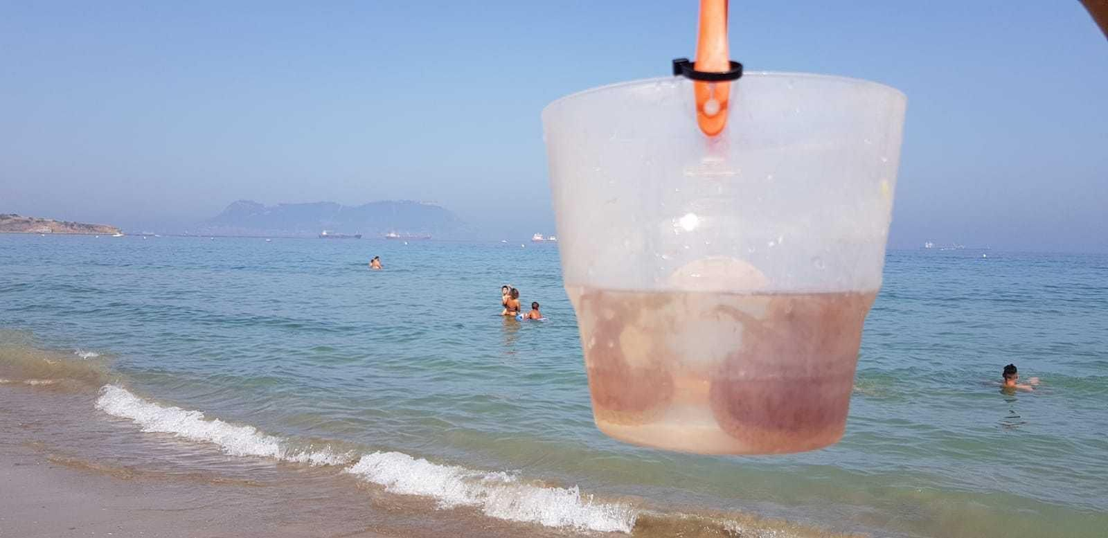 Un cubo de medusas recogidas en Getares, ayer.