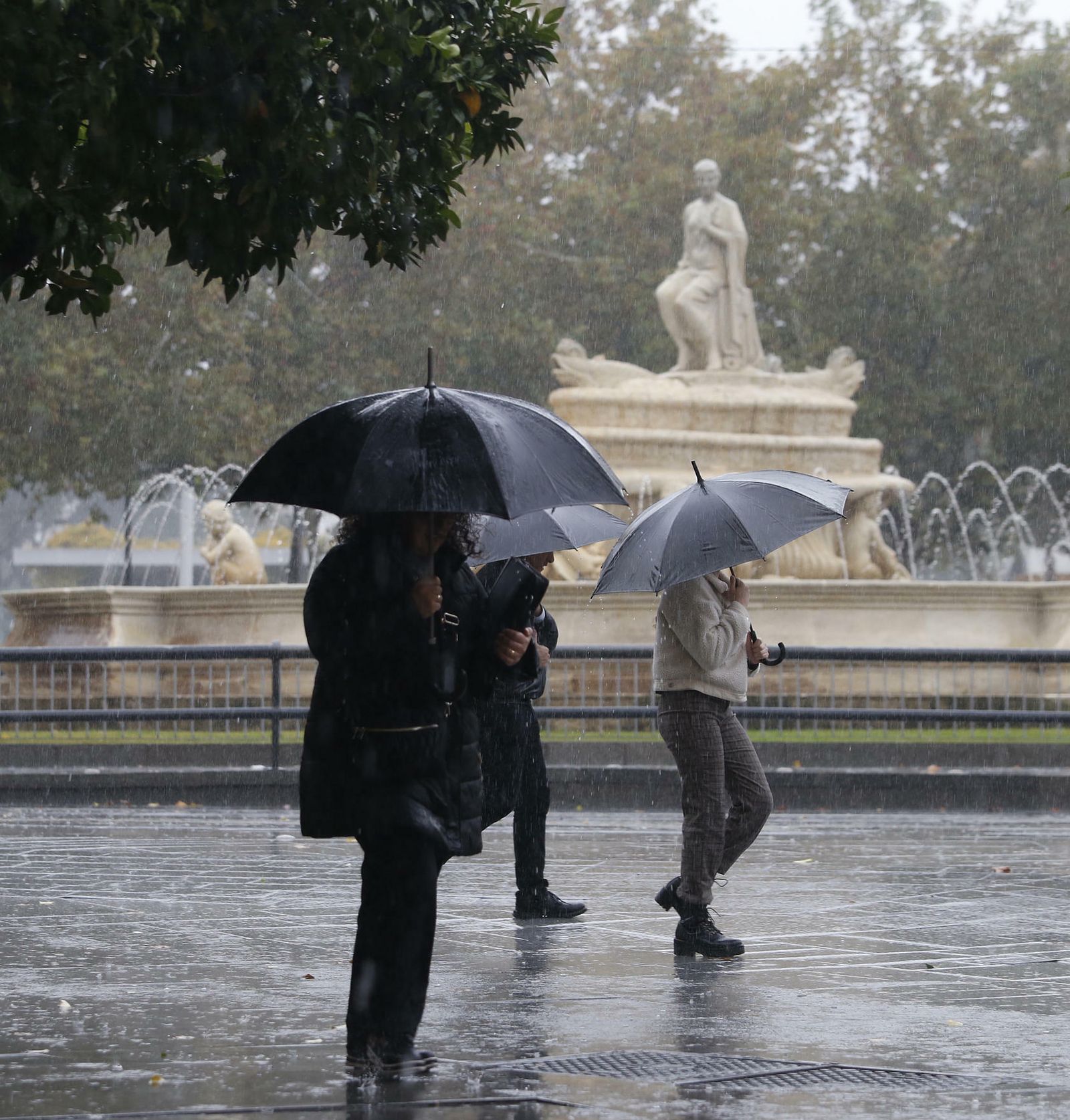 Las imágenes del temporal en Sevilla