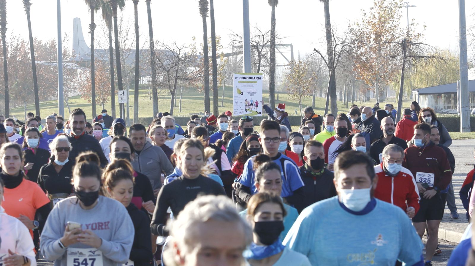 La octava edición de la Cordobaria, en imágenes
