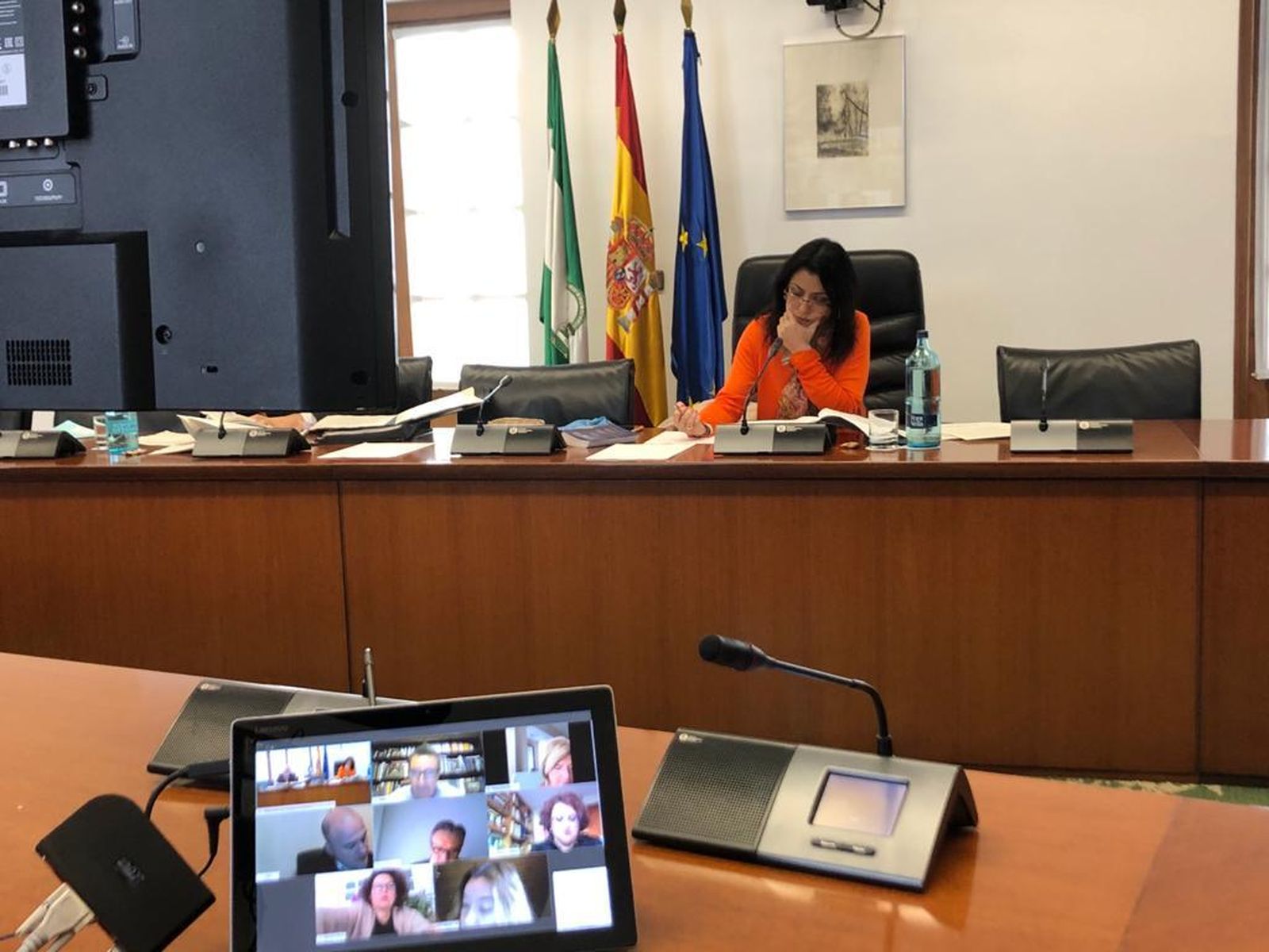 Marta Bosquet, en una reunión de la Mesa celebrada de forma telemática.