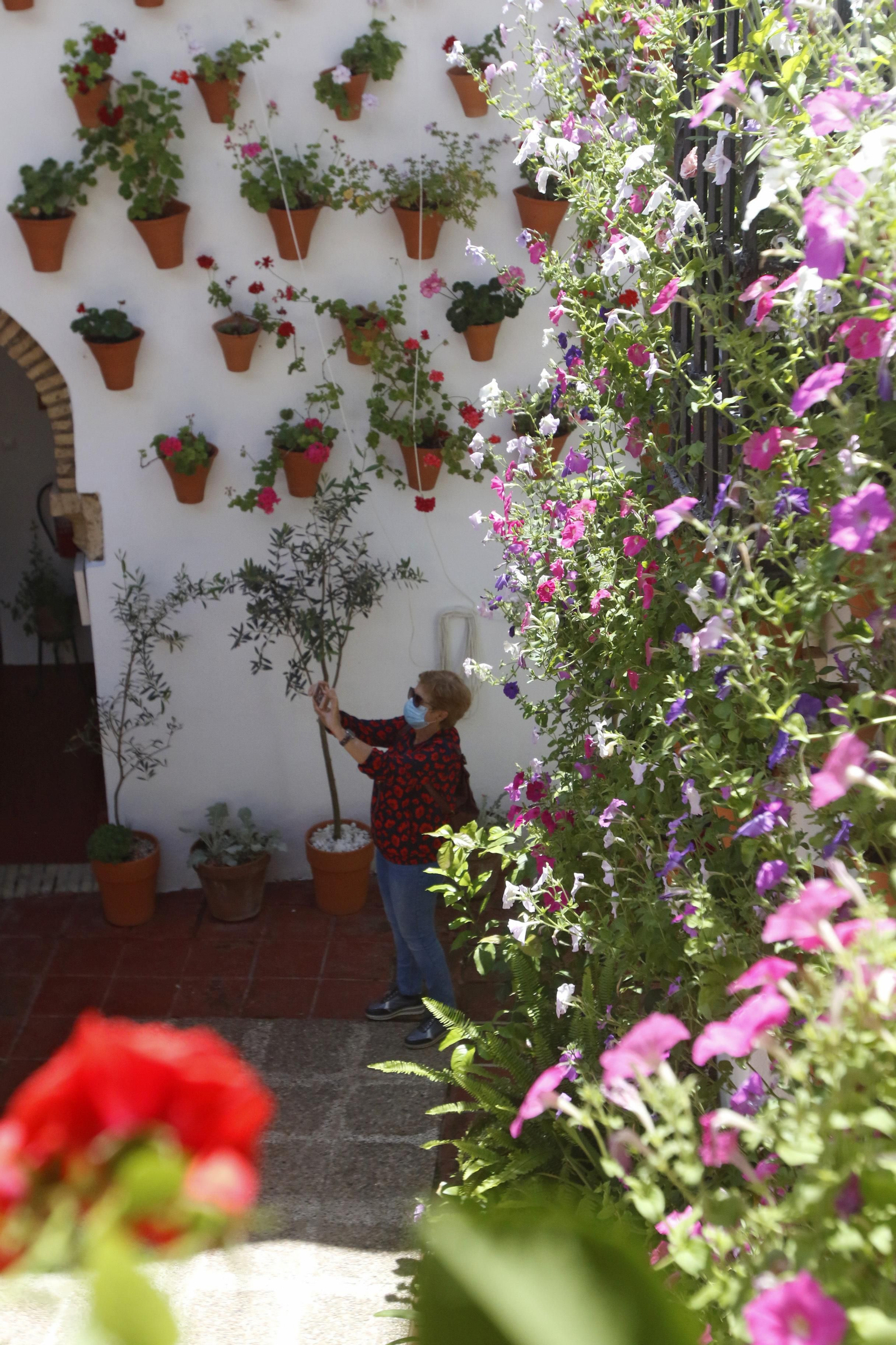 Ruta Judería - San Francisco de los Patios de Córdoba, en imágenes