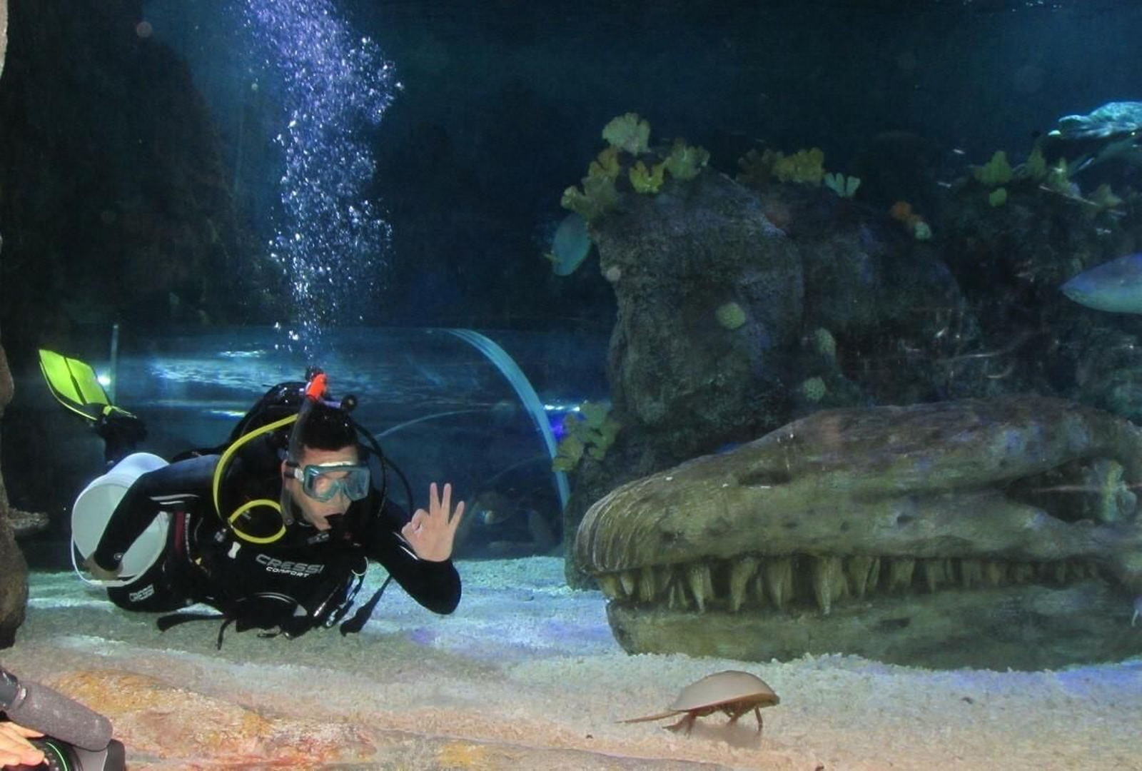 Una de las instalaciones de Sea Life Benalmádena