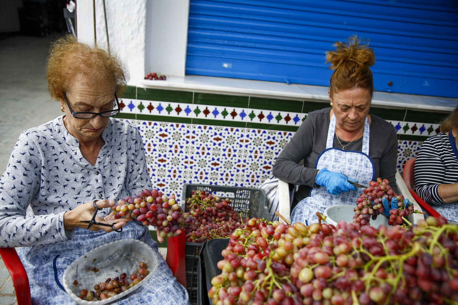 La tradicional faena de la uva de Canjayar, en imágenes
