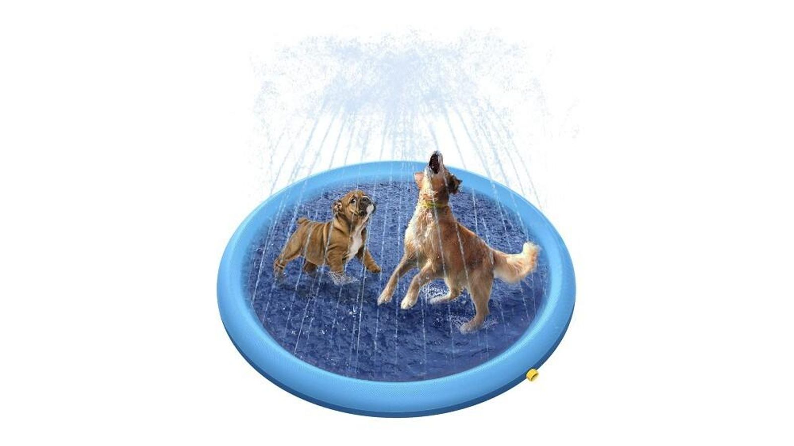 Piscina de Perros