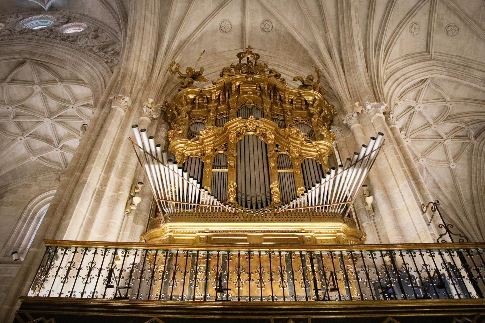 Restauración del órgano de la Catedral.