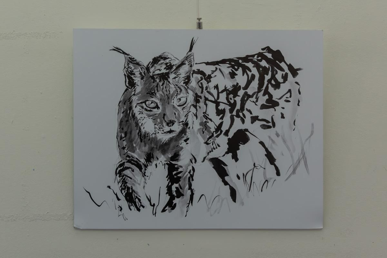 Exposición Los pinceles del lince ibérico, en imágenes