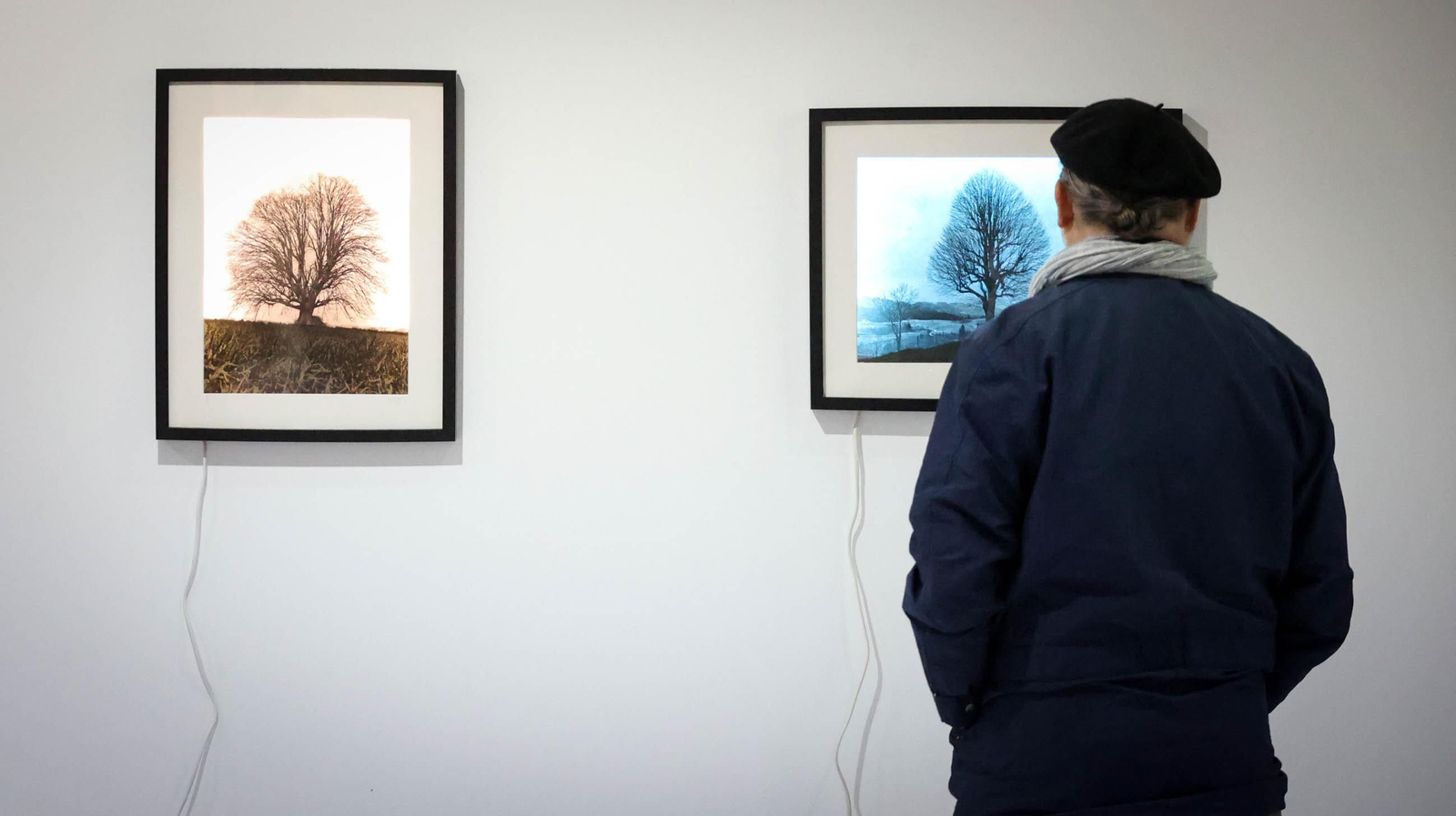 María Puyol expone su obra en el Campus de Jerez