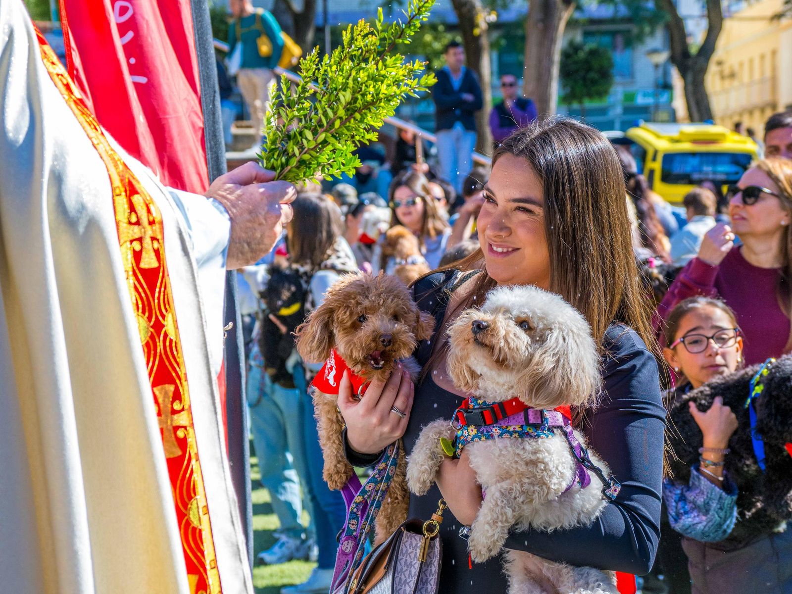 Las imágenes de San Antón 2025 en San Fernando