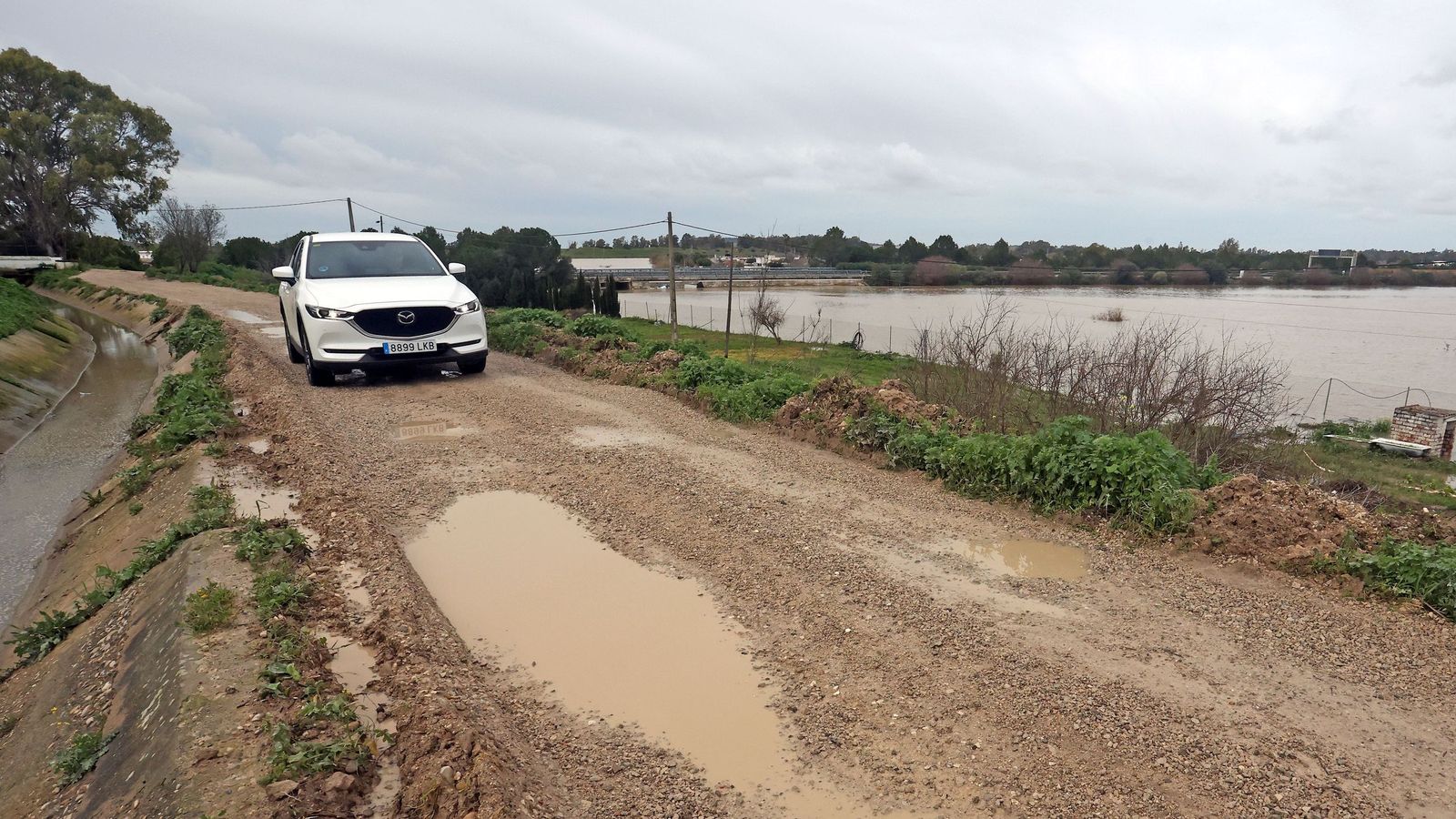 El Guadalete comienza a bajar su nivel poco a poco por la zona rural de Jerez