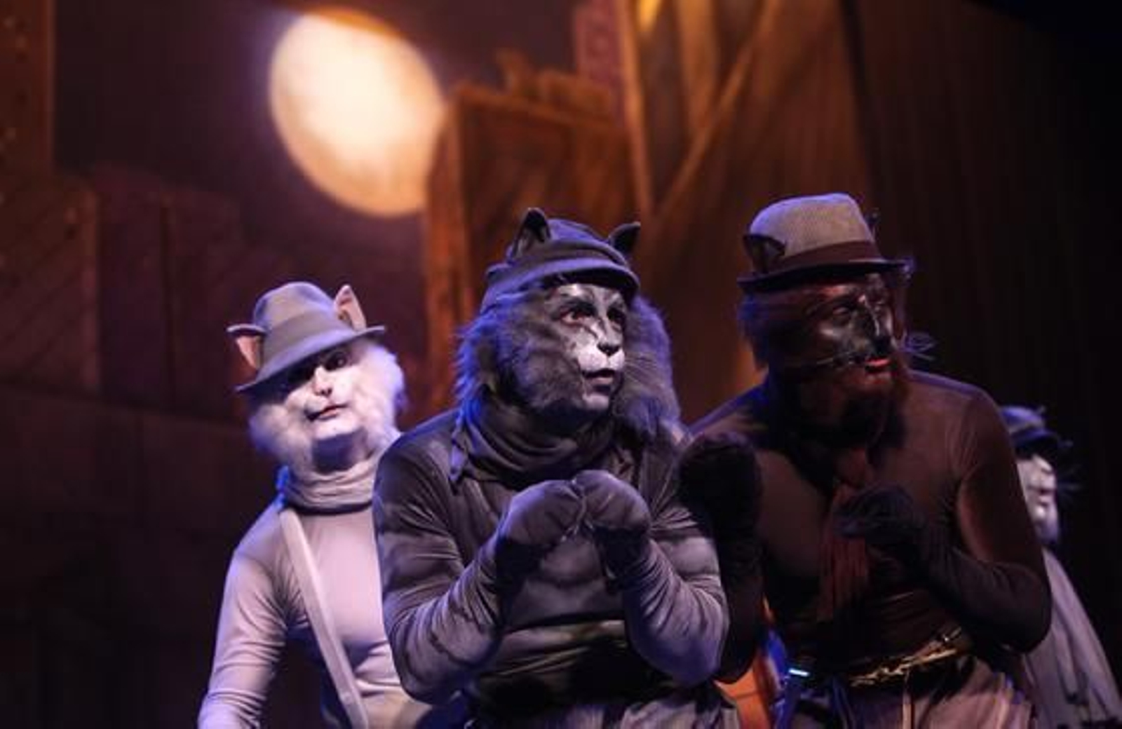 Comparsa. Los gatos callejeros  Foto: Jesus Marin