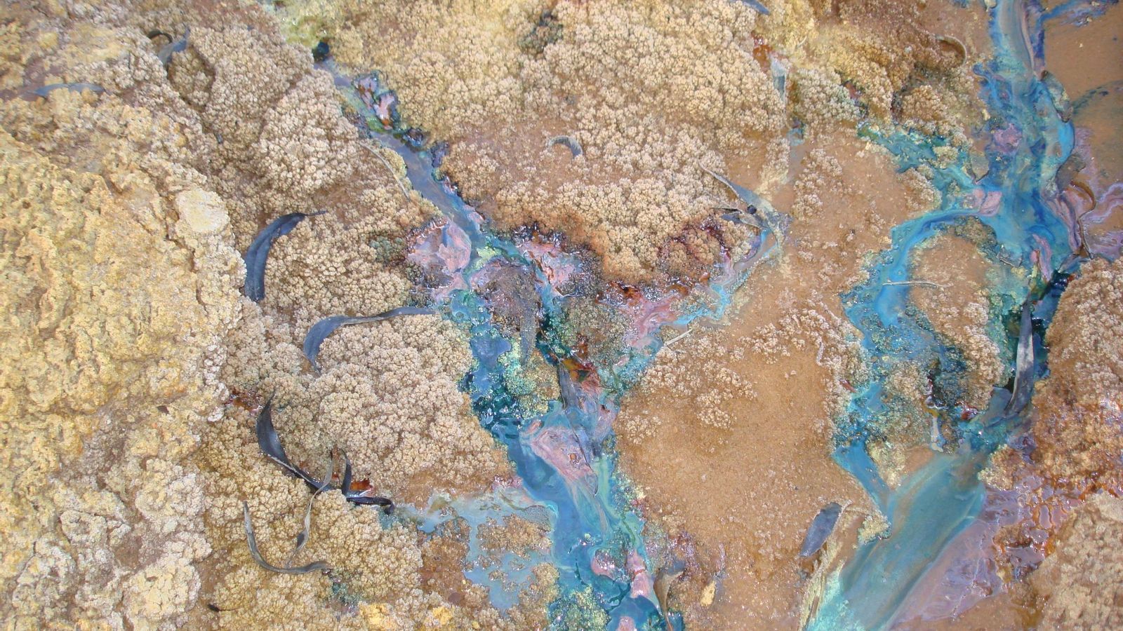 Aguas ácidas del río Odiel.