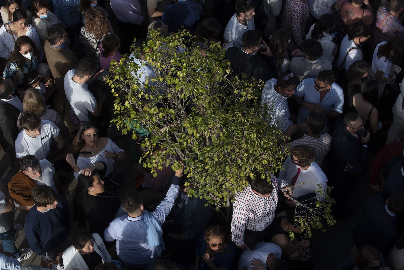Las imágenes de La Estrella
