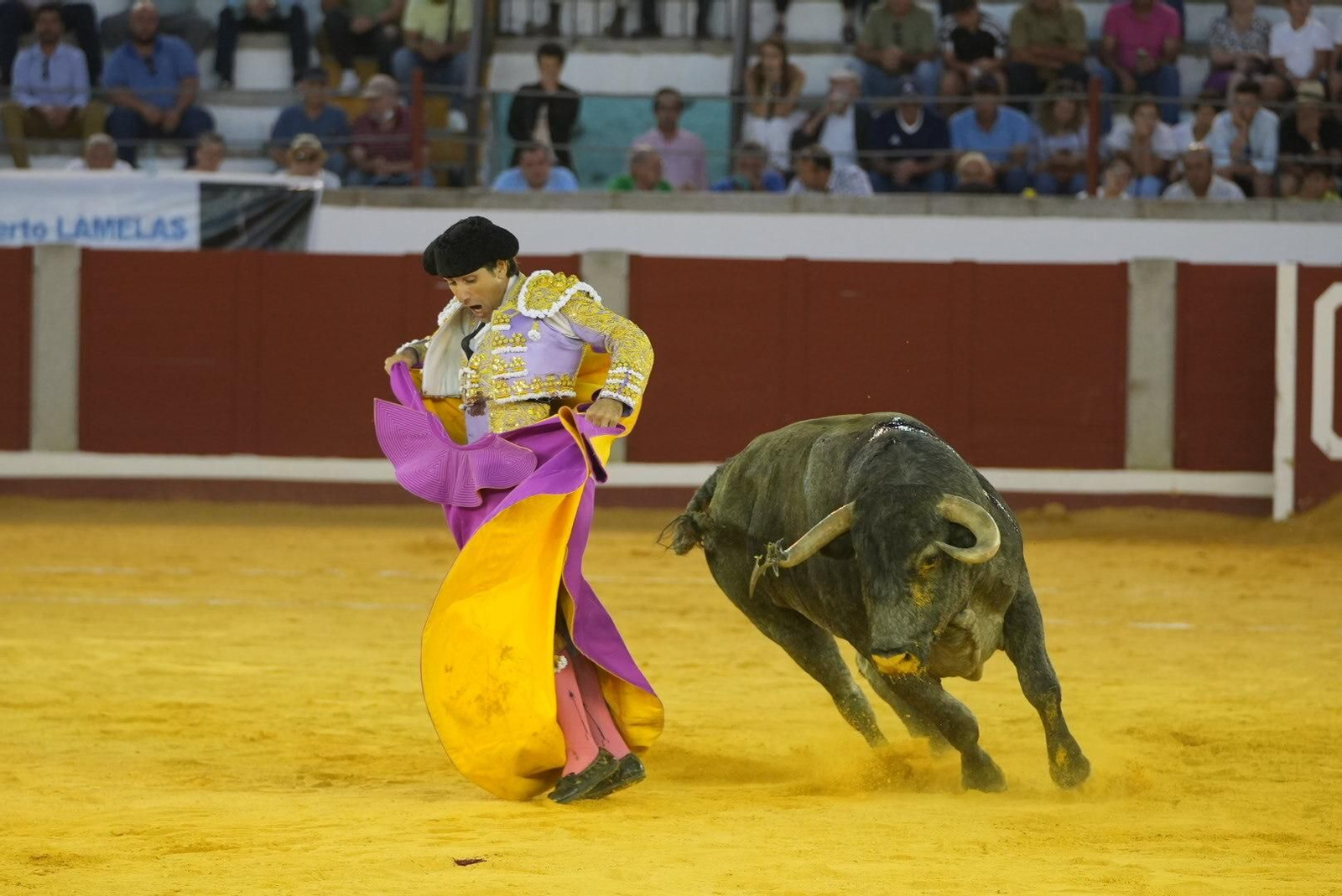 La corrida de toros de Ferrera, Escribano y Lamelas en Pozoblanco, en imágenes