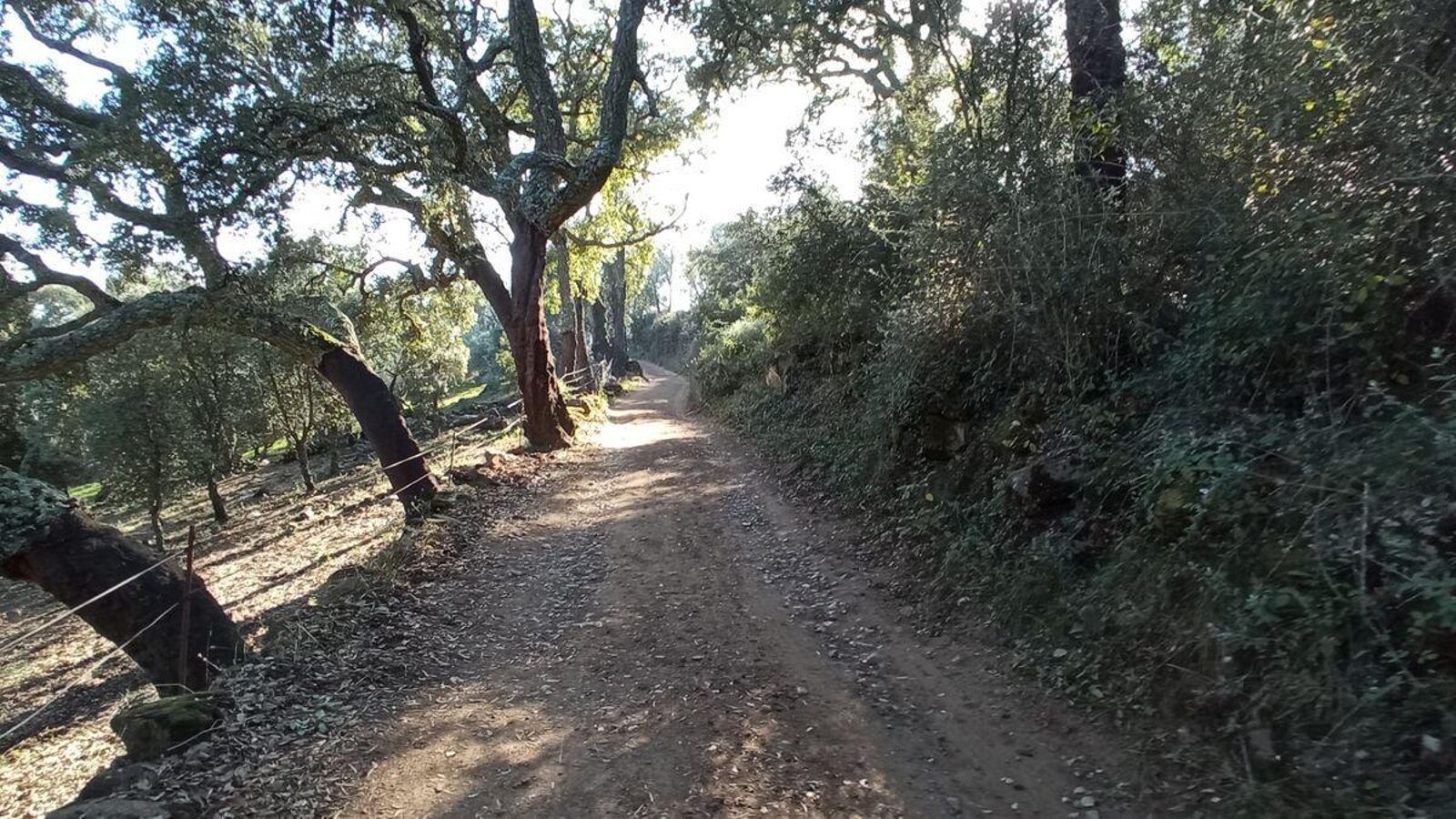 Últimos compases de la ruta