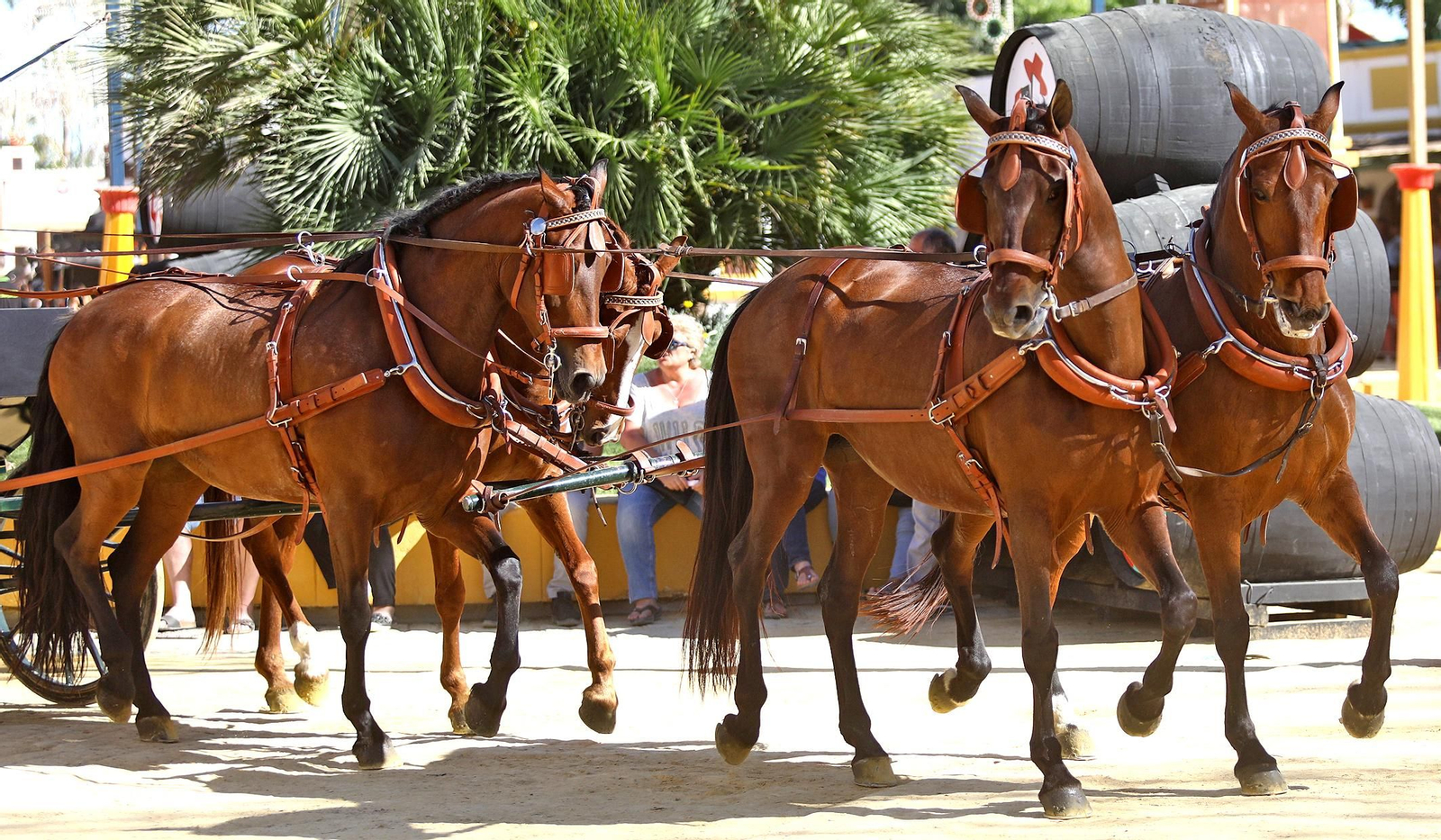 Imágenes del martes de Feria