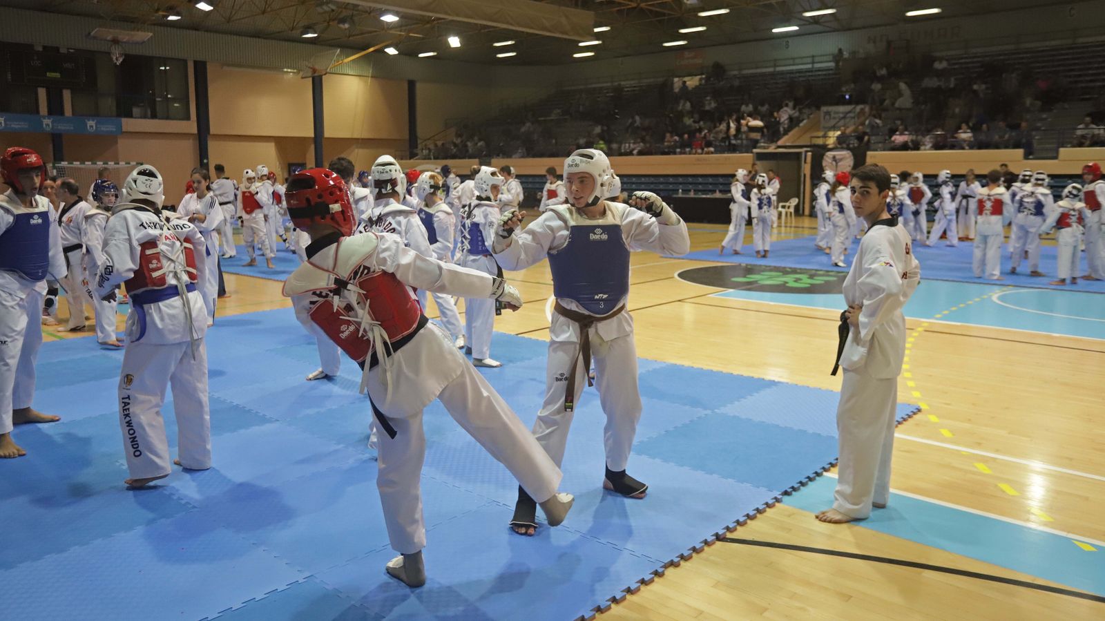 Fotos del encuentro "Campeonato Promoción Deporte Base" de Taekwondo en Algeciras