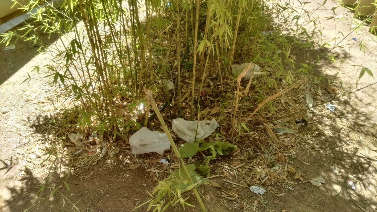 Las imágenes del estado del parque del Cuarto Real de Santo Domingo