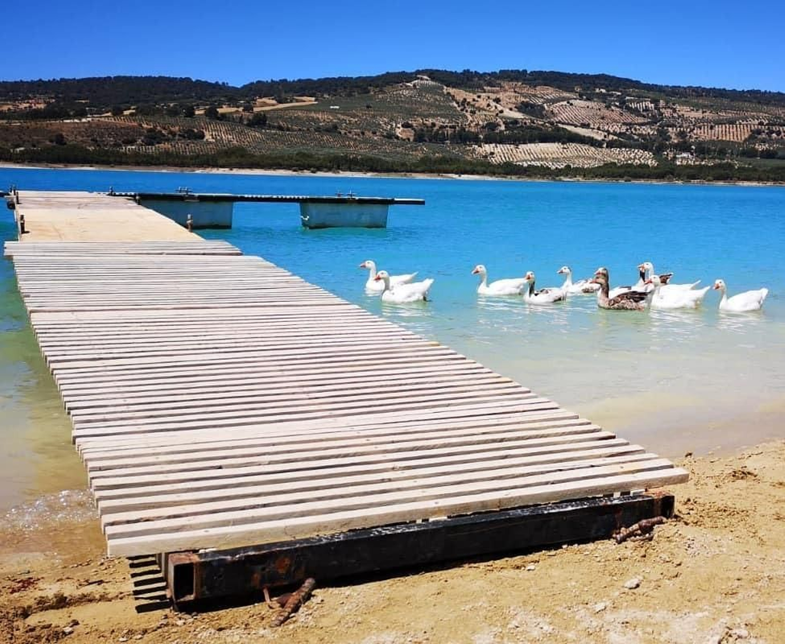 Camping de los Bermejales (Arenas del Rey)