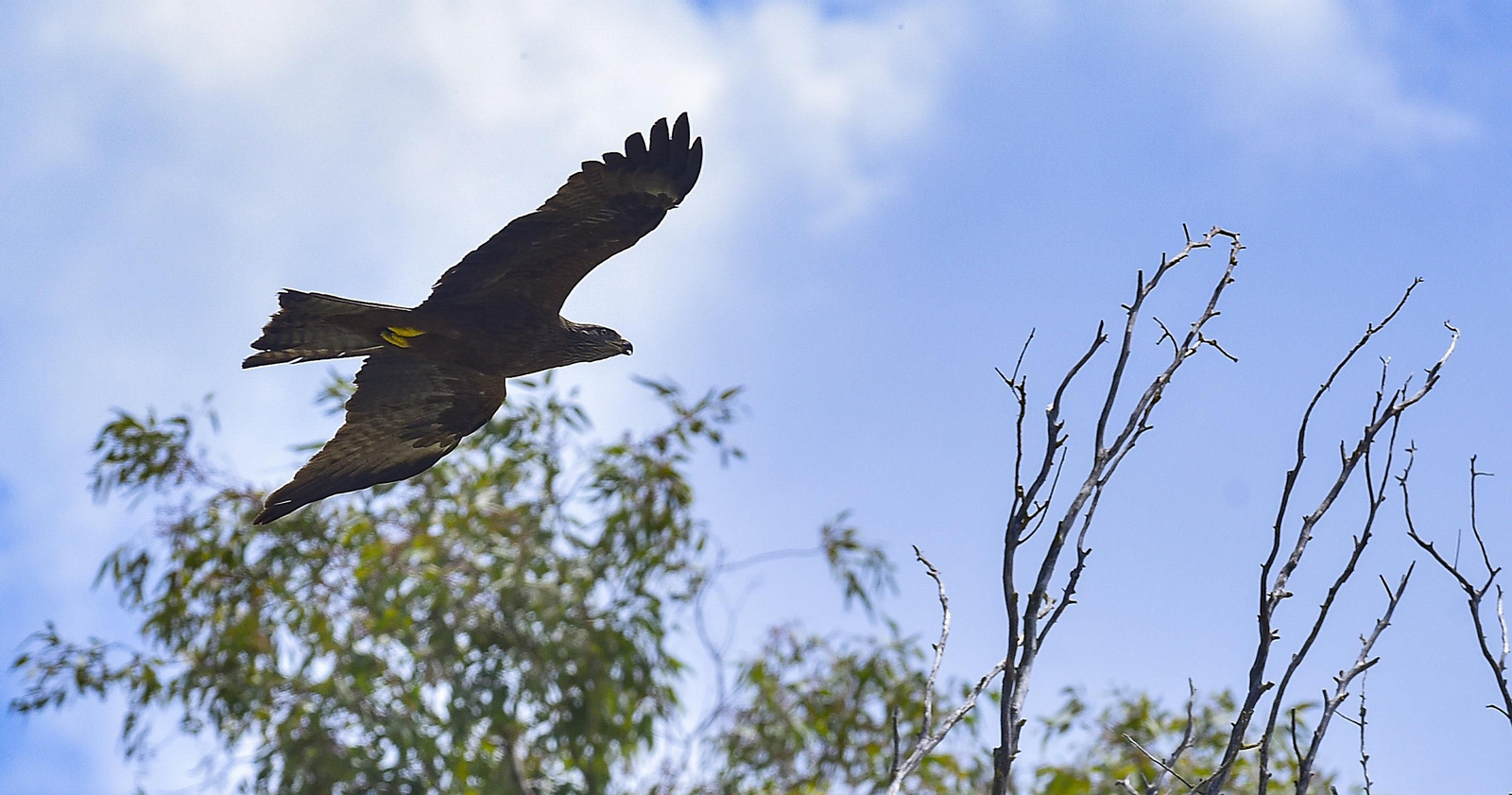 Travesía en barco por el Guadalquivir