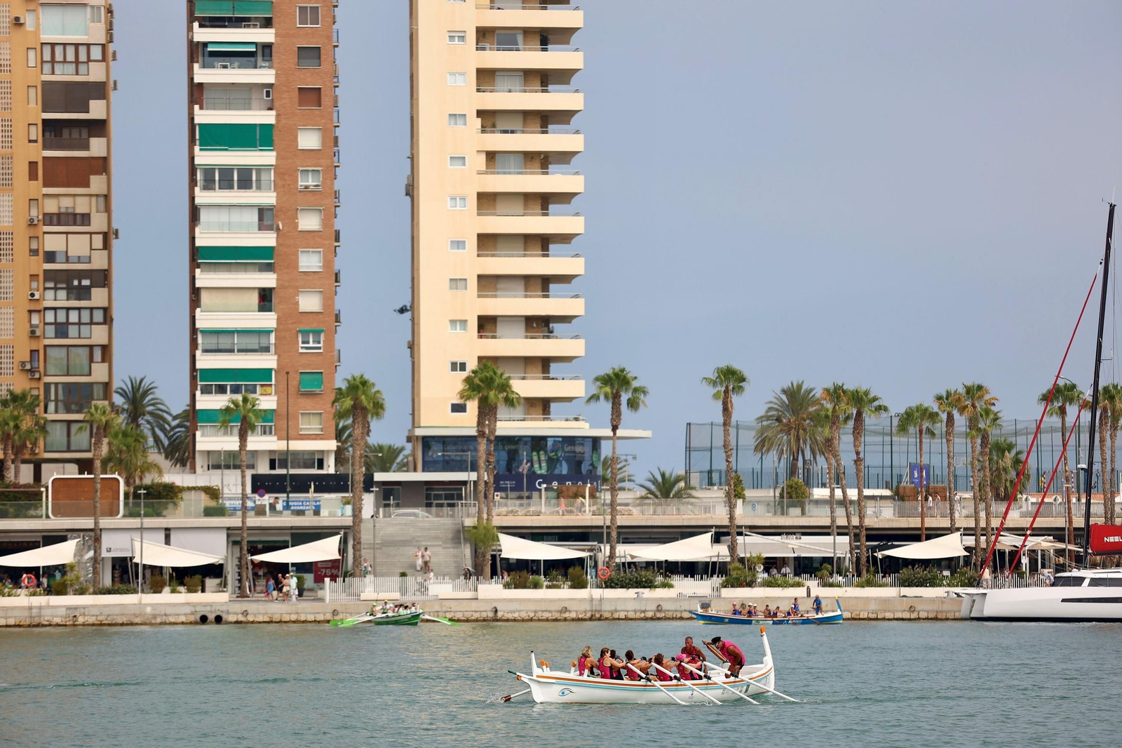 Las fotos de la 62ª edición del GP Ciudad de Málaga de jábegas Las fotos de la 62ª edición del GP Ciudad de Málaga de jábegas