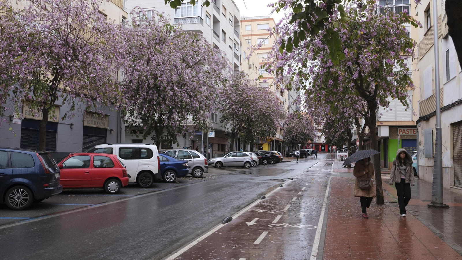 Imágenes de la lluvia en Almería.
