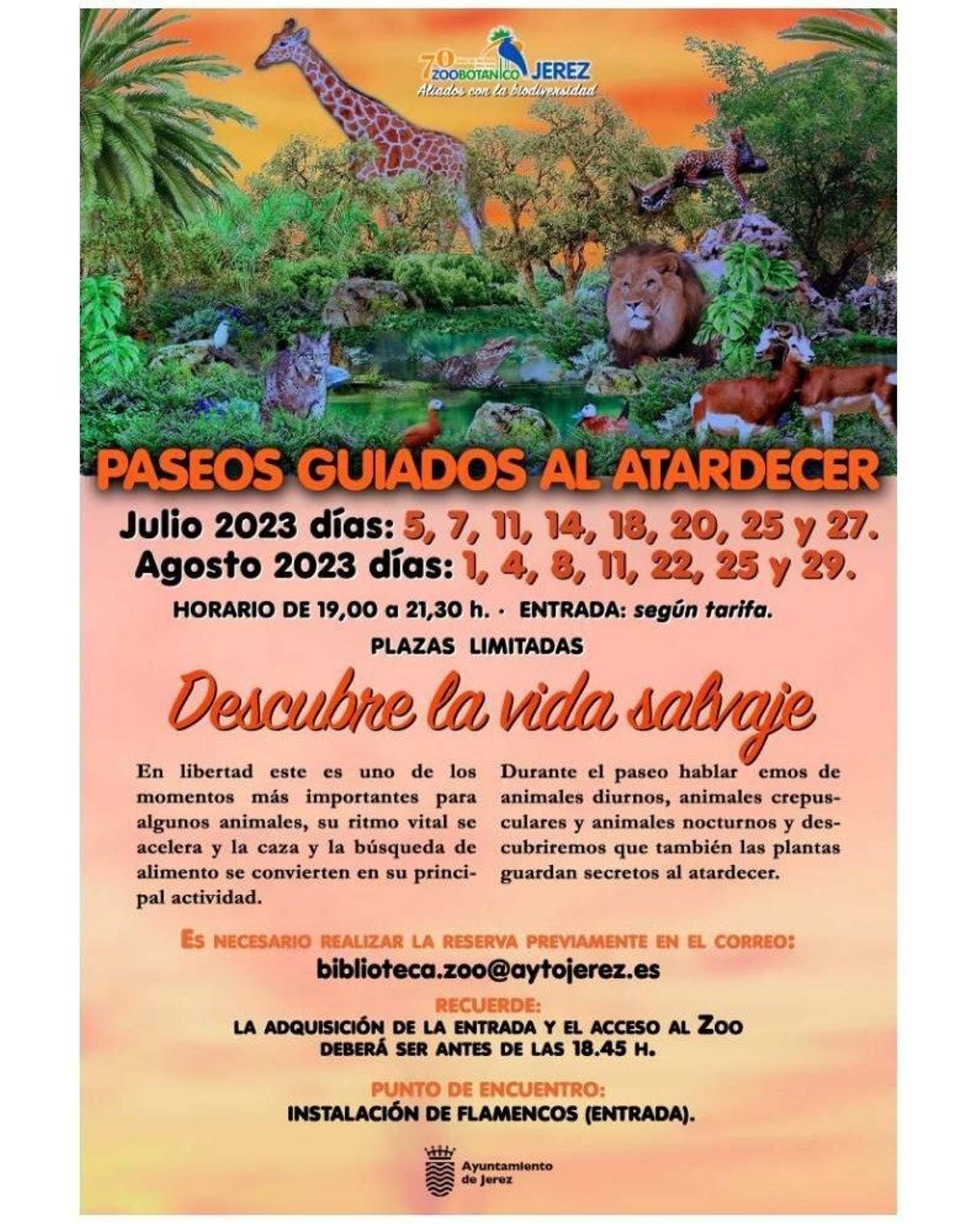 Actividades para hacer con niños en verano en Jerez
