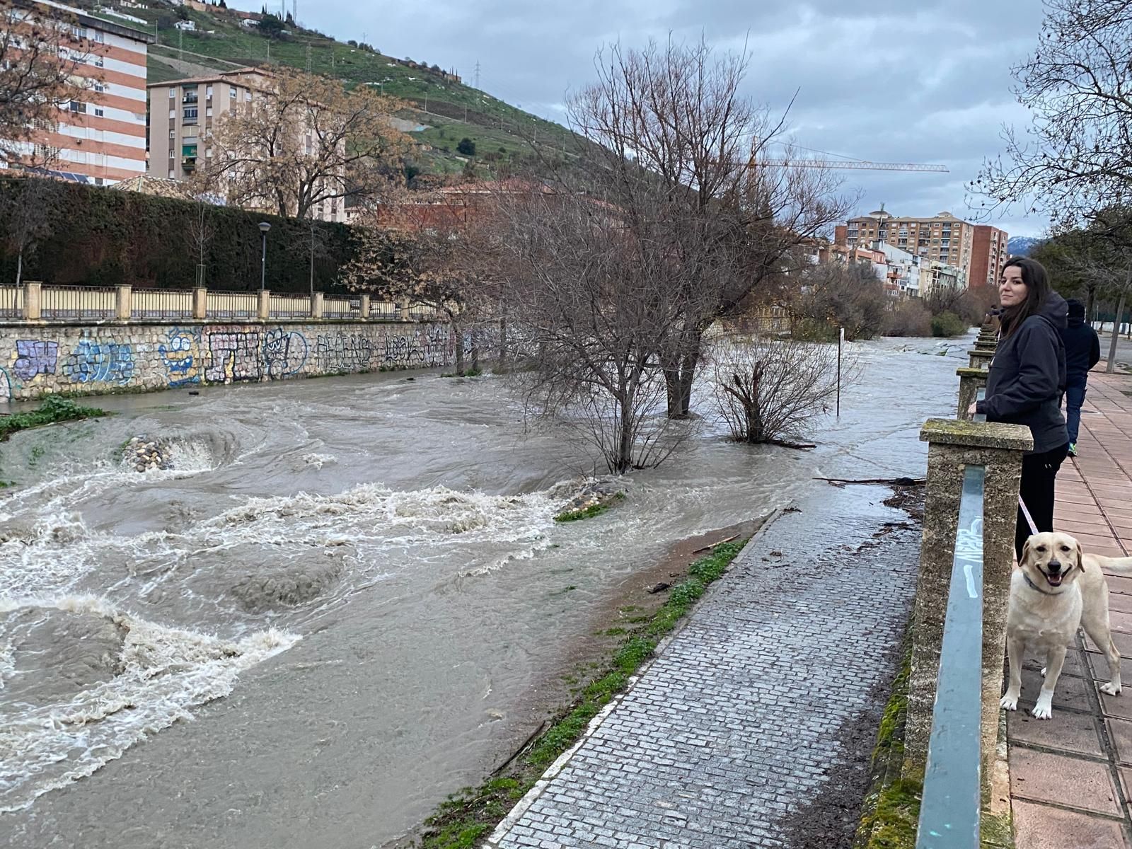 Las fotos de la previa de la borrasca Leonardo: nieve en Prado Negro y el río Genil en Granada, crecido