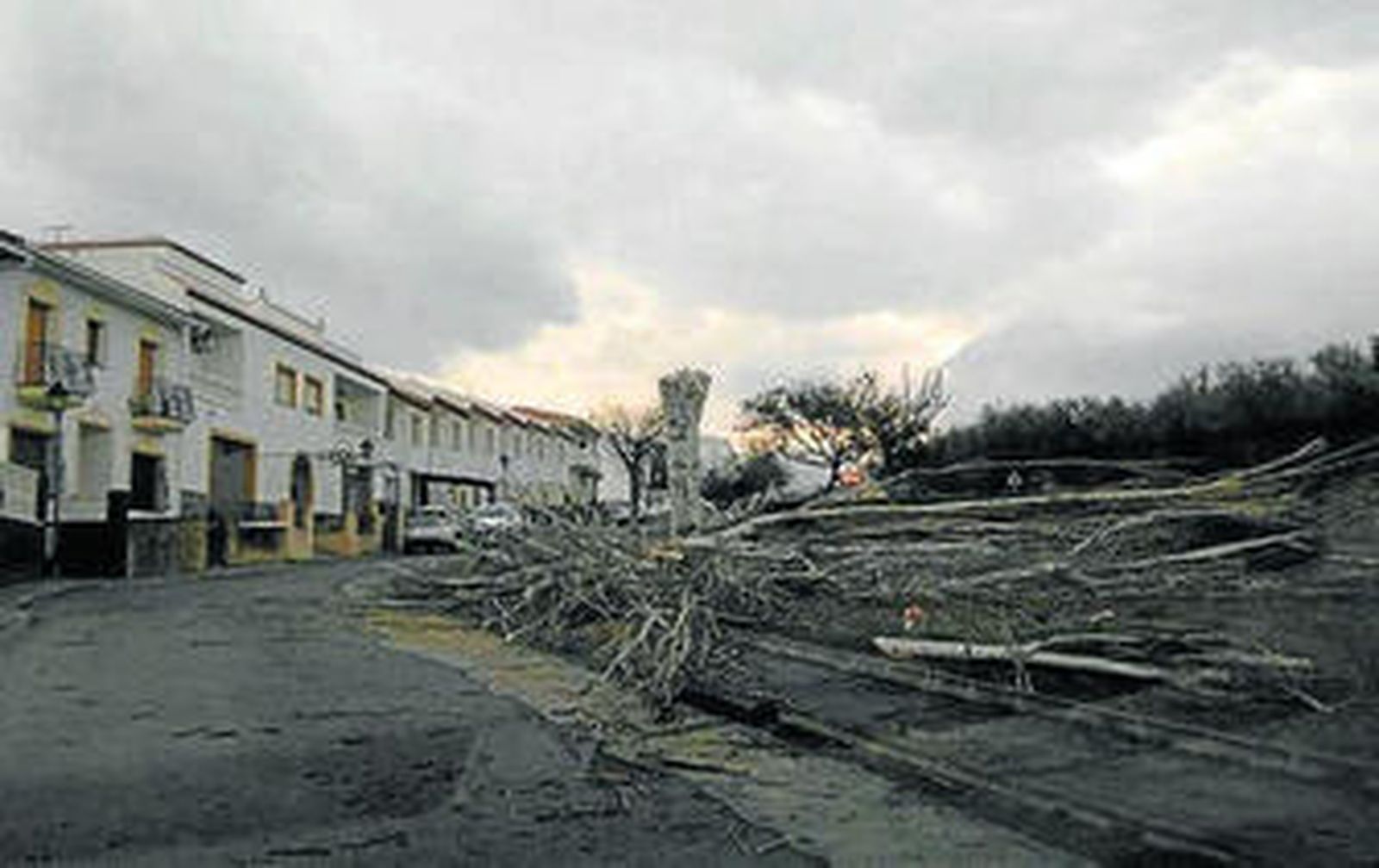 El viento ha provocado que muchas ramas caigan a la vía.