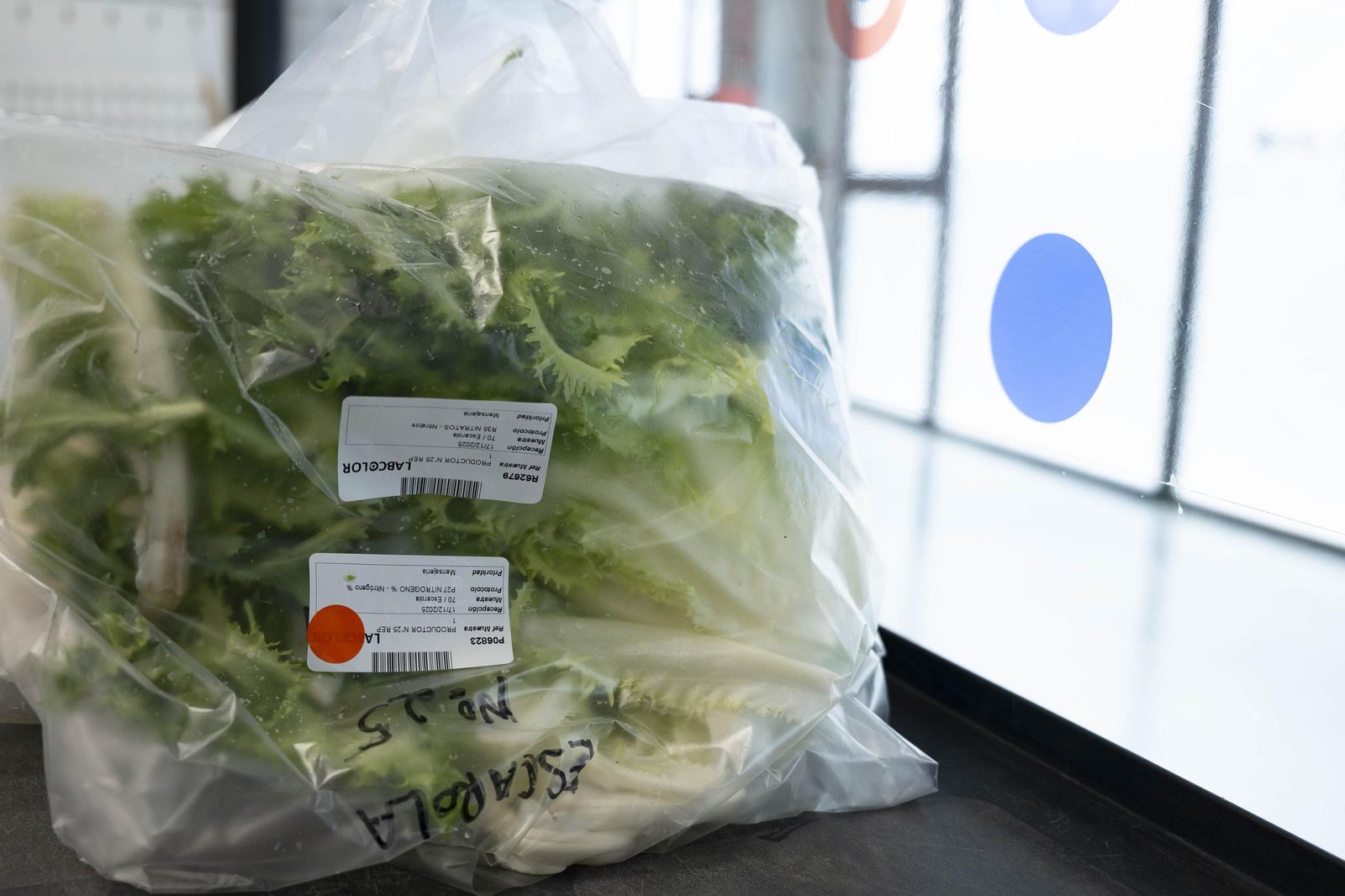 CIT COEX abre sus puertas al futuro: innovación, conocimiento y territorio