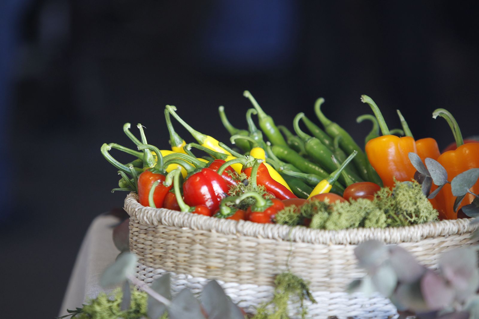 Fotogalería nuevas instalaciones Vicasol 3 en El Ejido