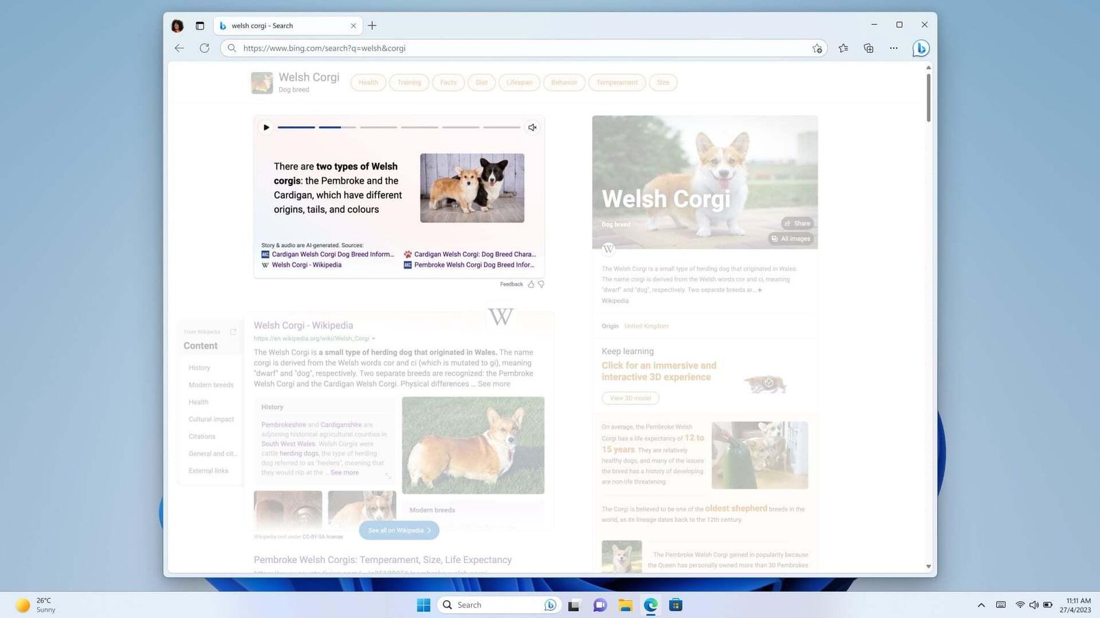 Bing Stories Bing Stories