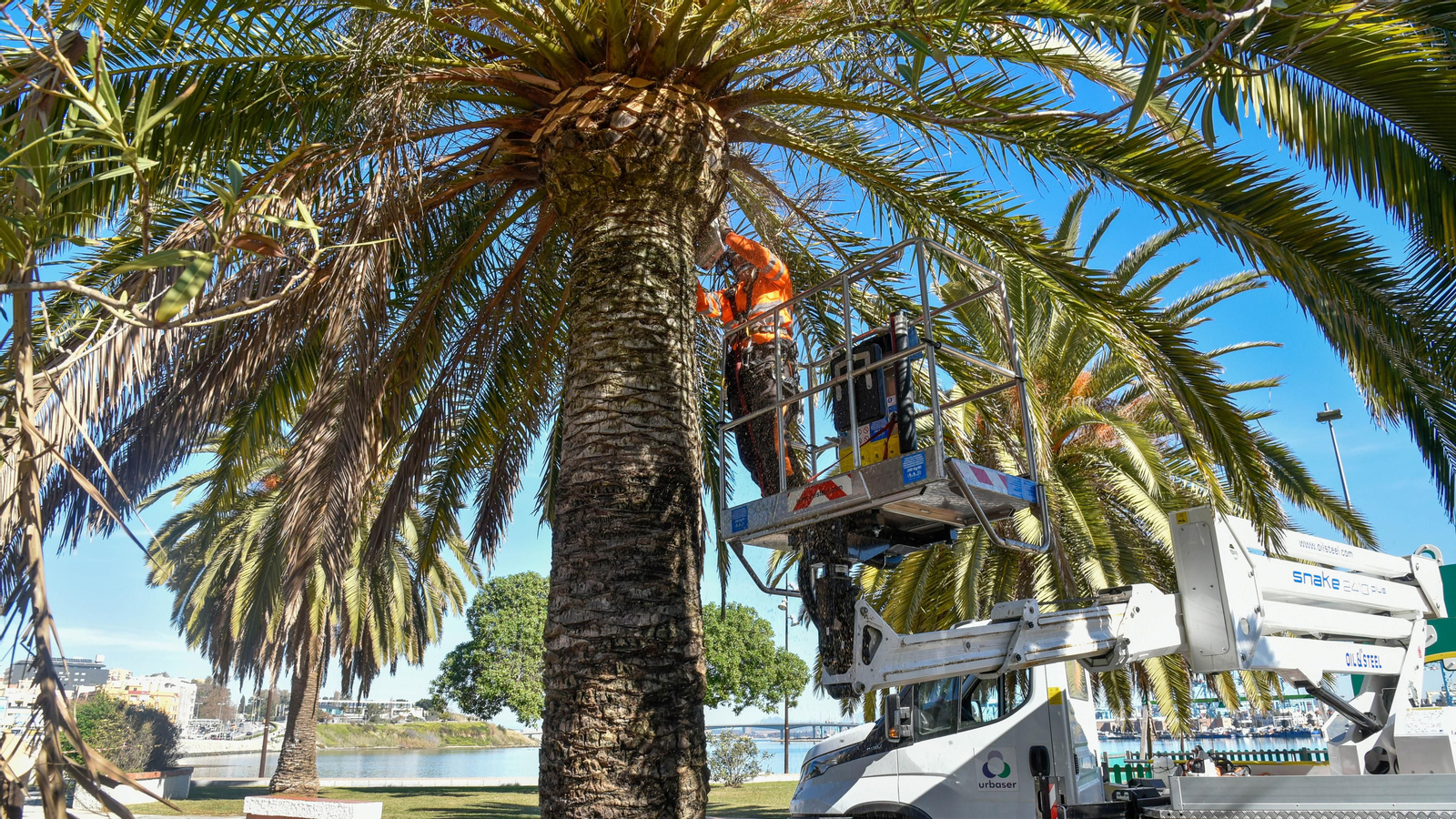 Preparativos para la visita de Juanma Moreno Presidente de la Junta de Andalucía
