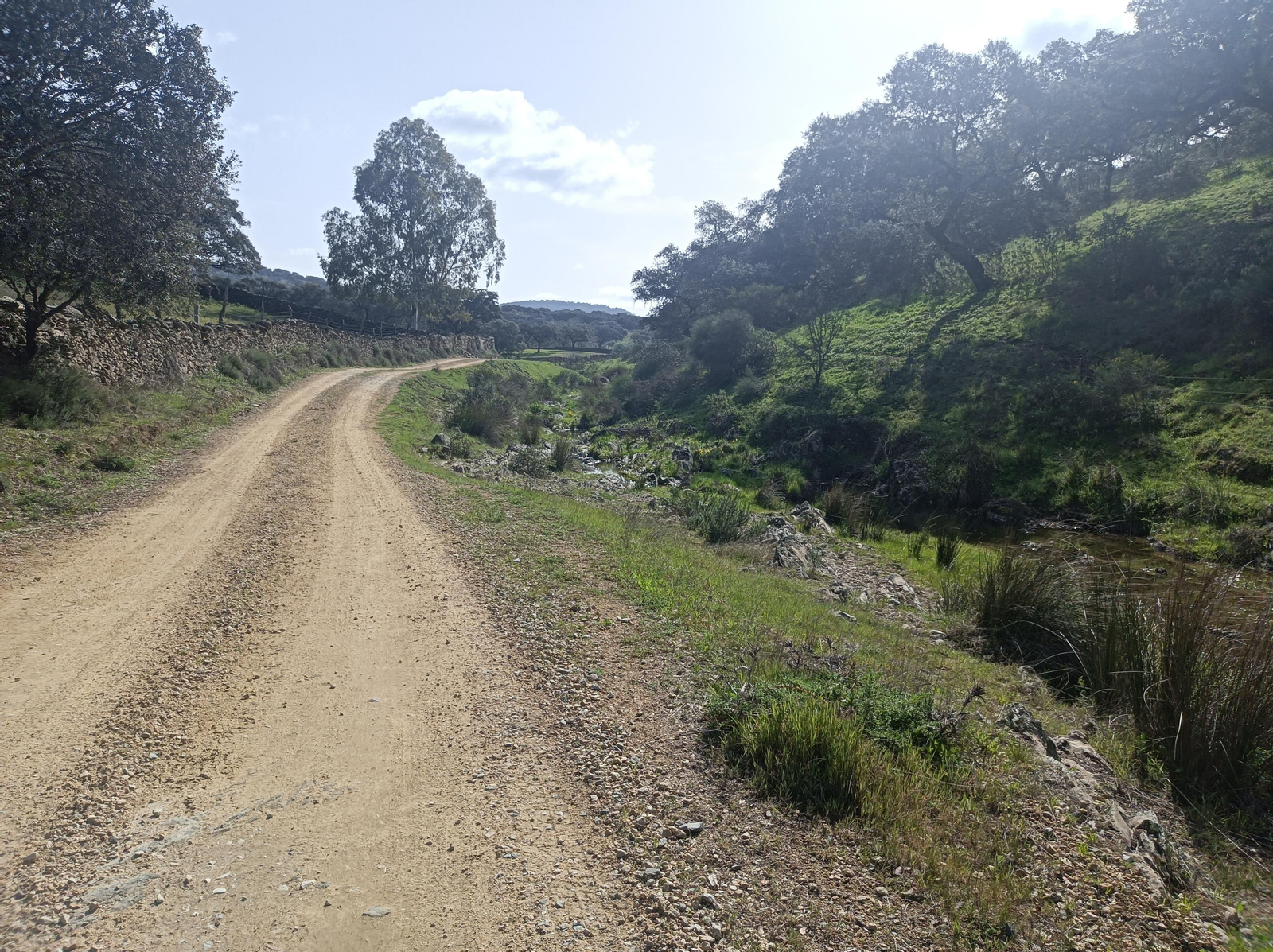 Fotos de la georruta de La Lobera