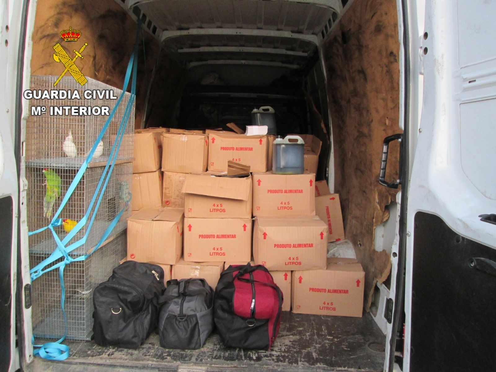 El SEPRONA rescata aves exóticas transportadas ilegalmente en Huelva.