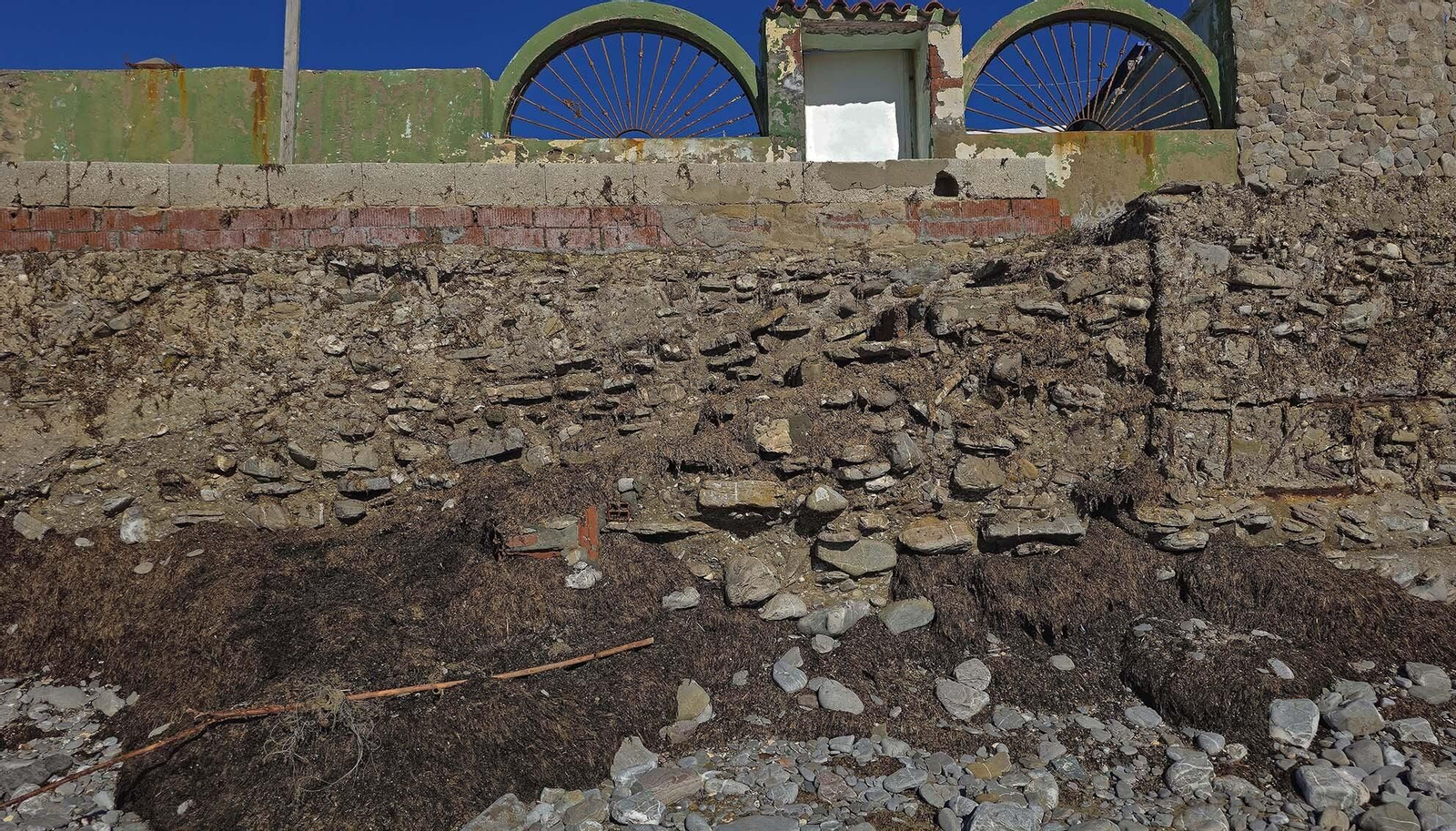 Imágenes del manto de alga parda en la playa de Getares