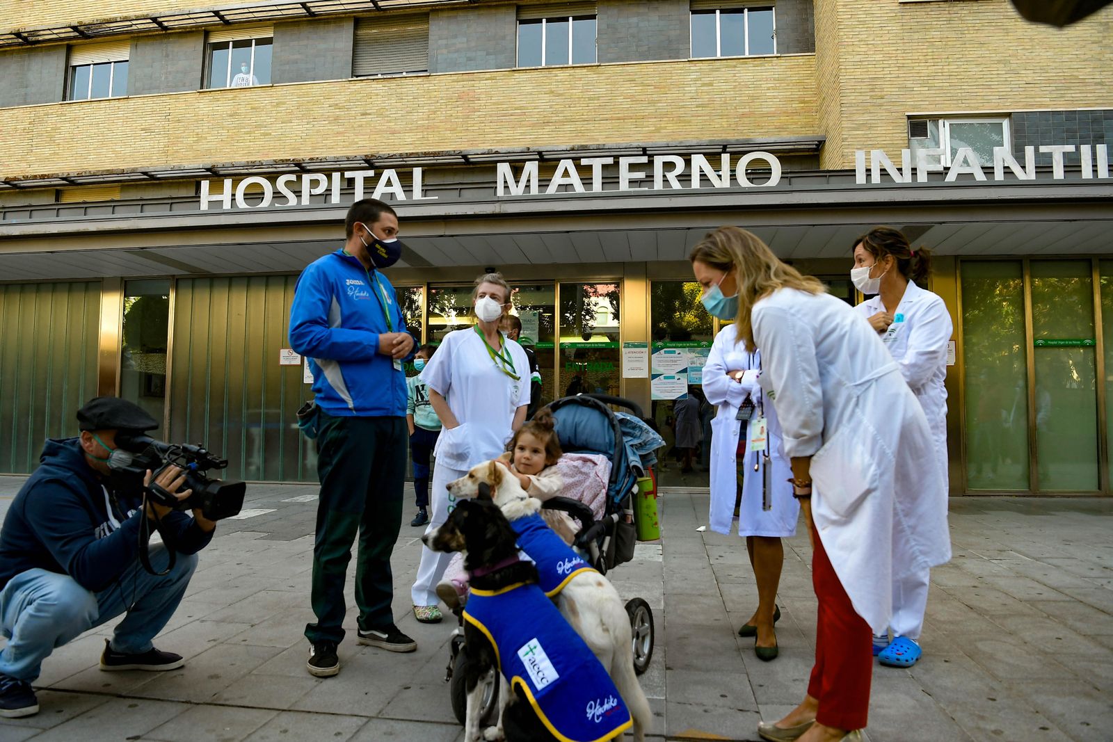Fotos de los perros que sirven de terapia a los niños del Maternal de Granada