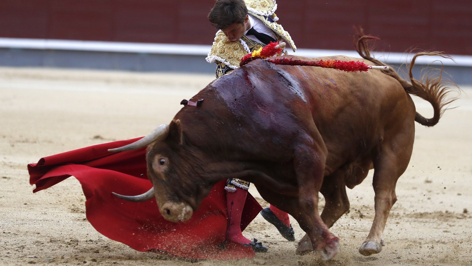 El juli, en la gran faena a 'Licenciado', de Alcurrucén.