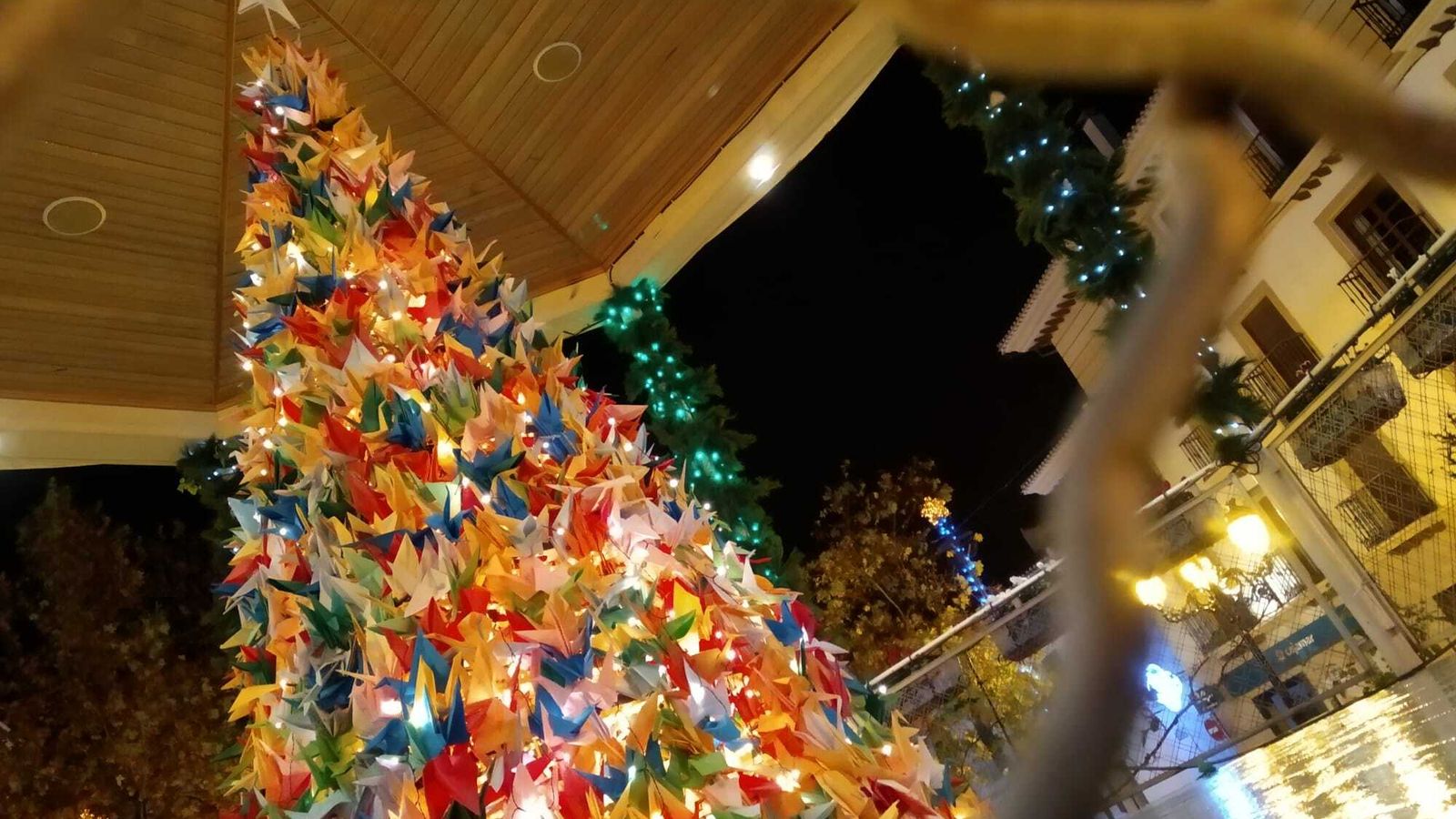 El árbol iluminado en plena noche.