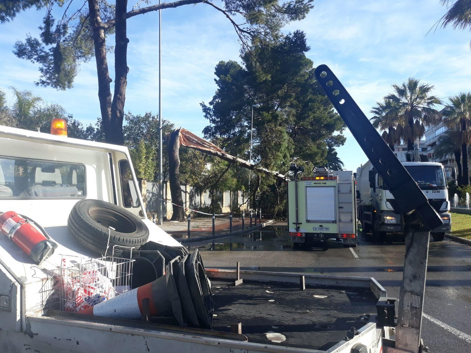 Las imágenes del paso del tornado en Jerez
