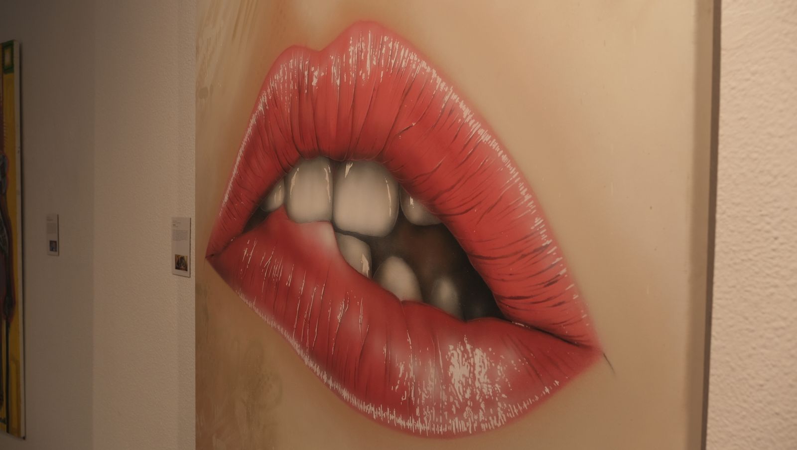 Imágenes de la exposición 'De la Calle al Museo'. Museo de Arte de Almería