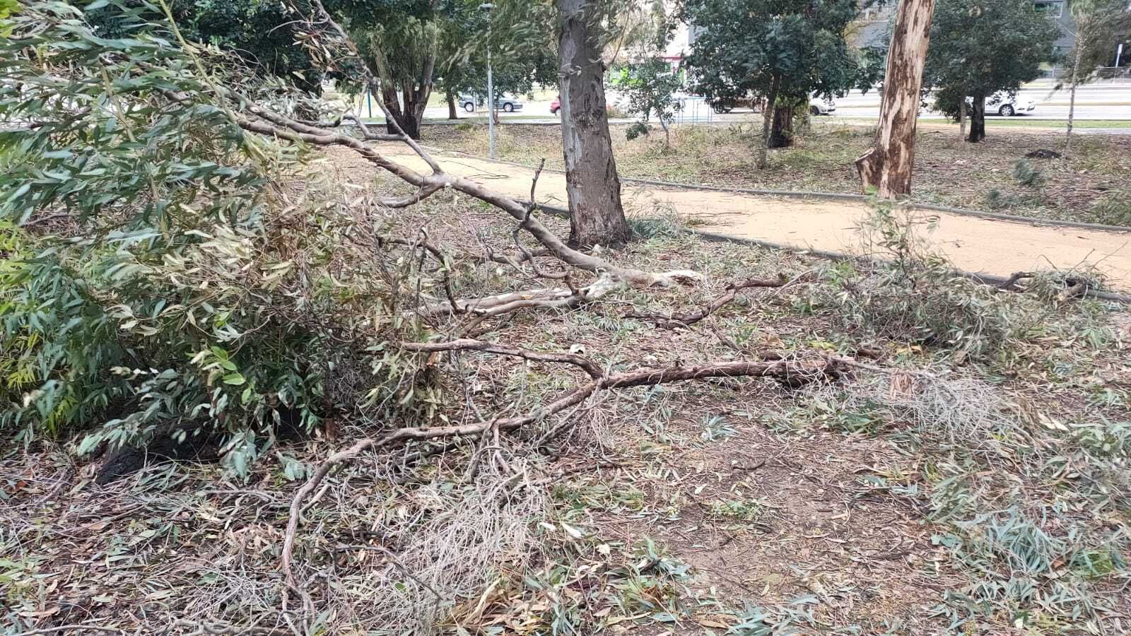 Las fotos de los lectores de Europa Sur del temporal Karlotta