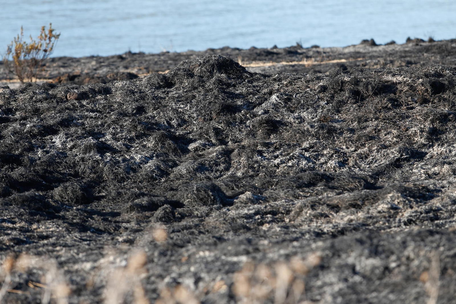Daños en el Parque Centenario de Algeciras tras el incendio nocturno, en imágenes