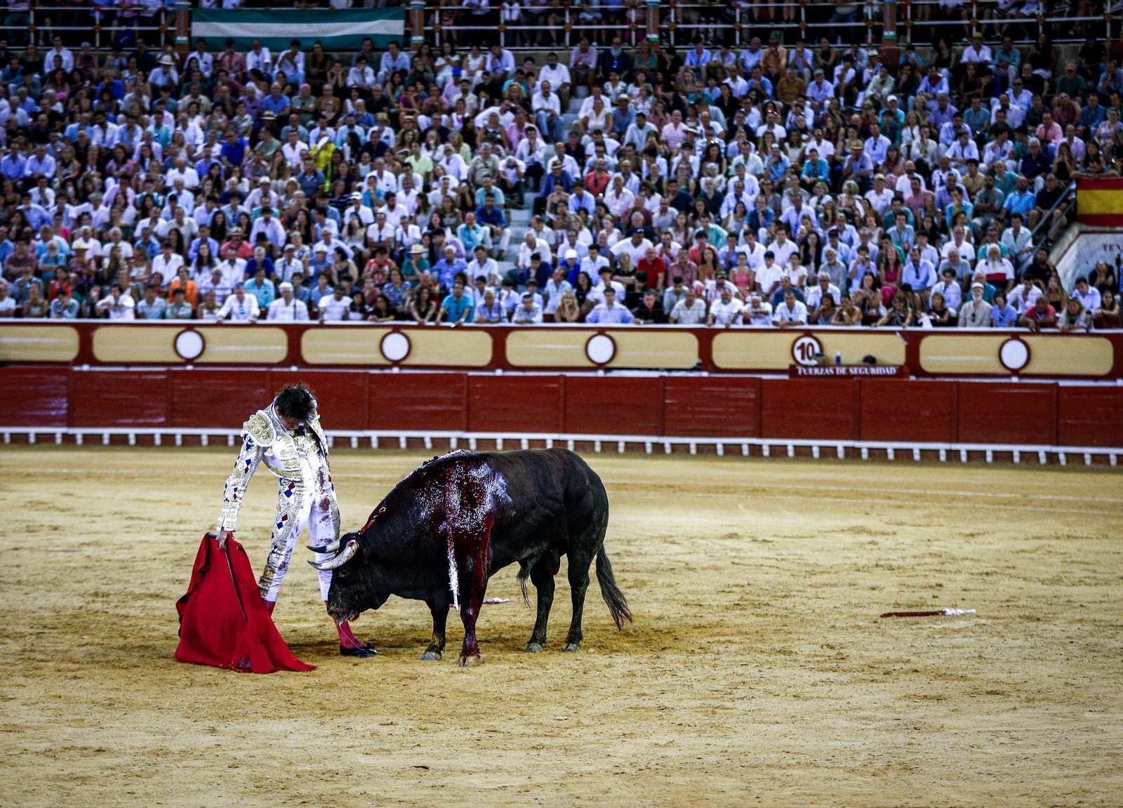 Imágenes de la corrida de toros en El Puerto: Manzanares, Roca Rey y Pablo Aguado